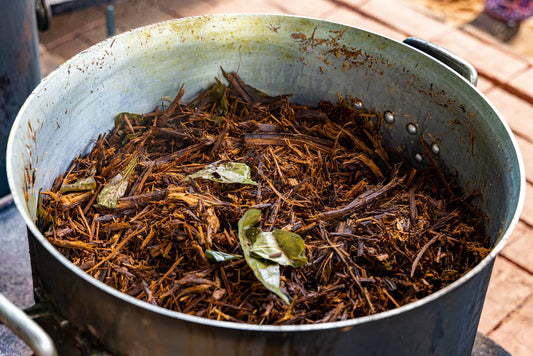 Hapé of the Forest: Ayawaska Medicine from the Katukina