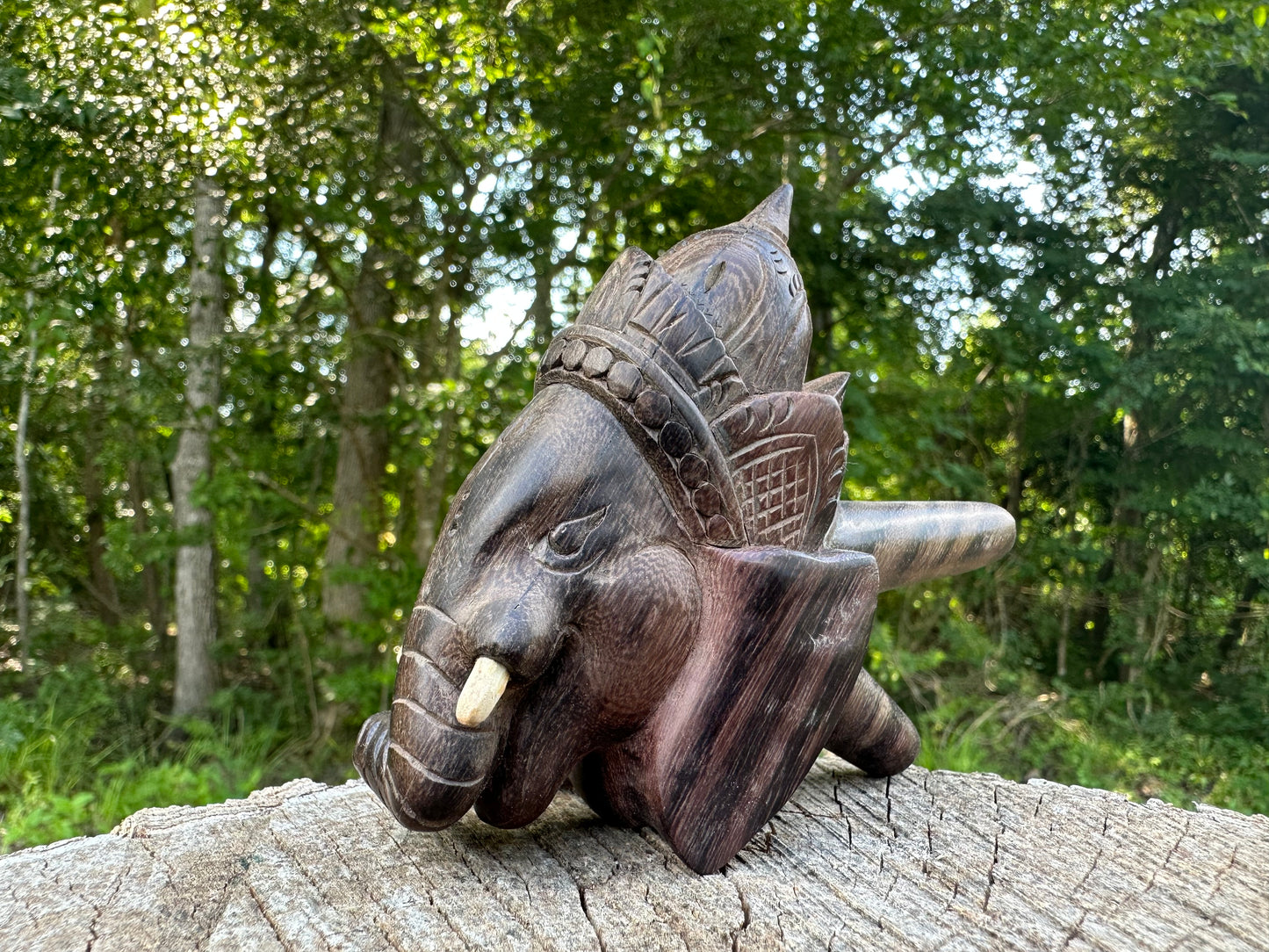 Master Ganesha Kuripe