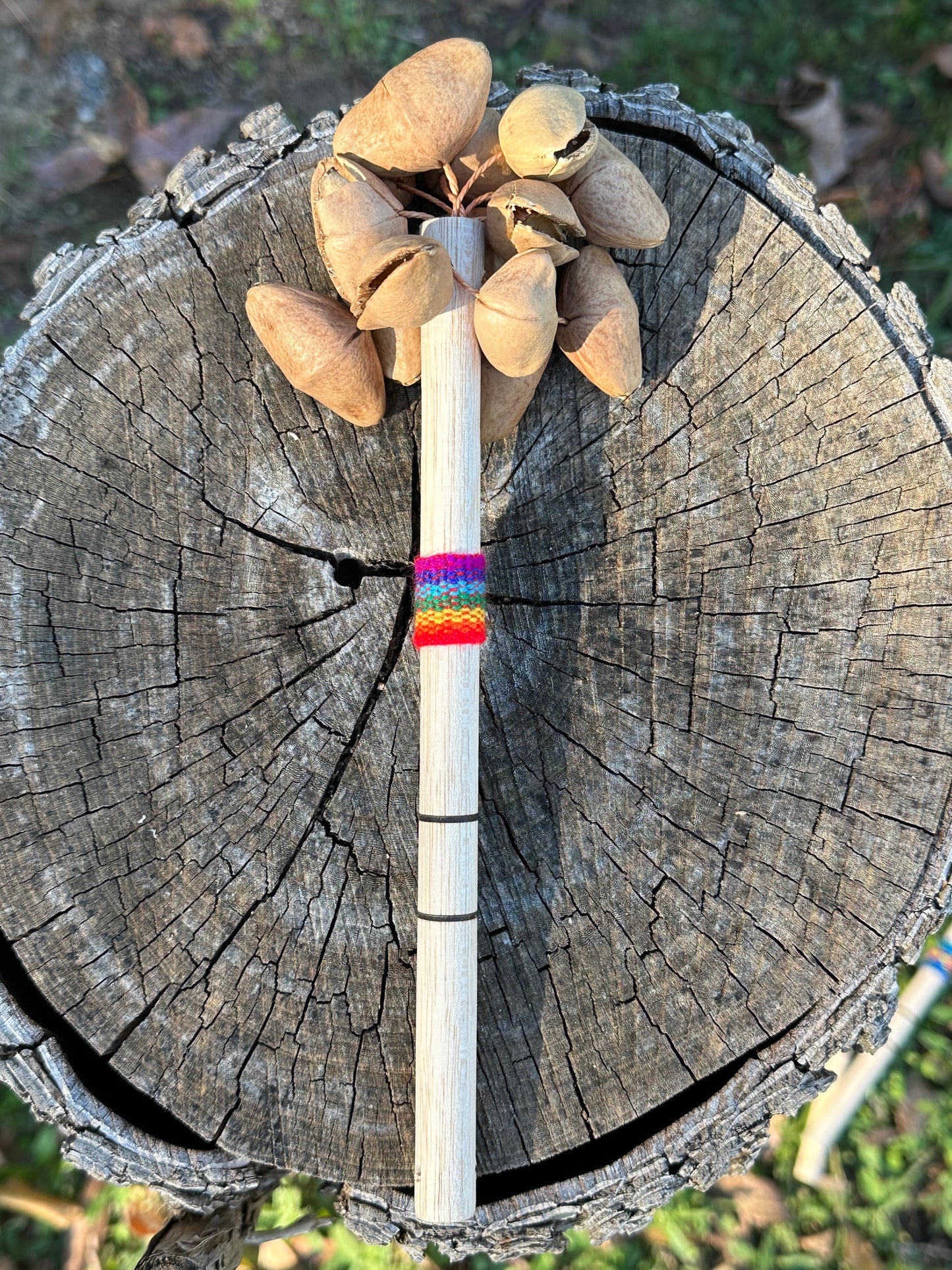 Colombian Kenari Seed Shaker