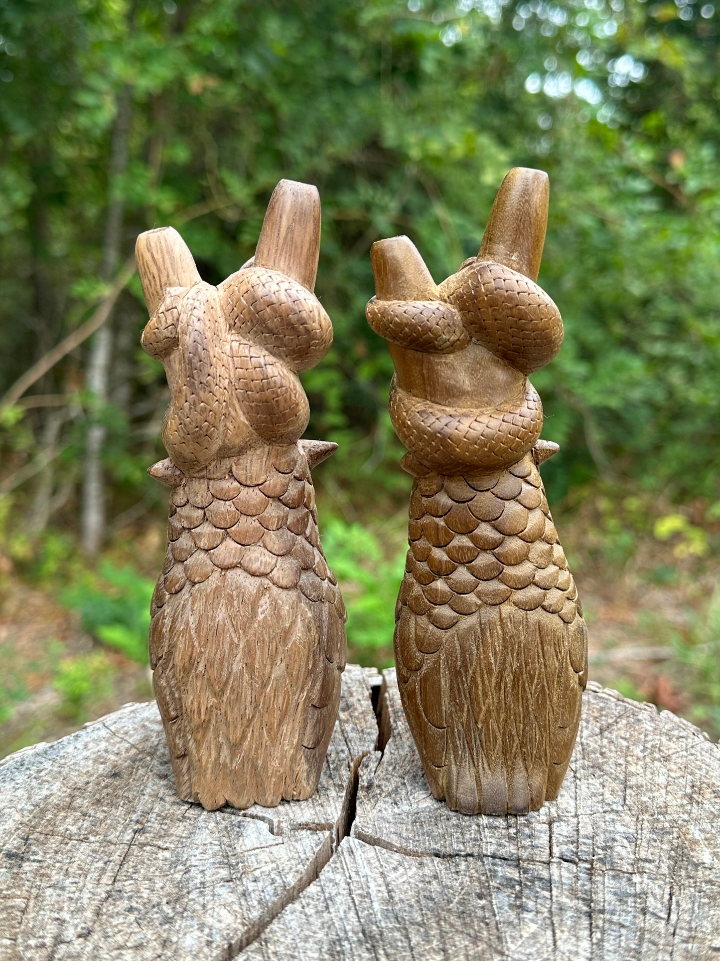 Búho y serpiente Kuripe