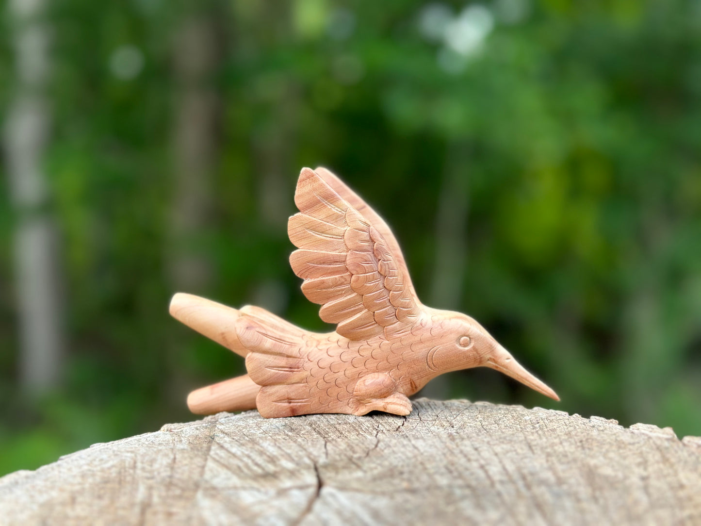 Colibrí Kuripe