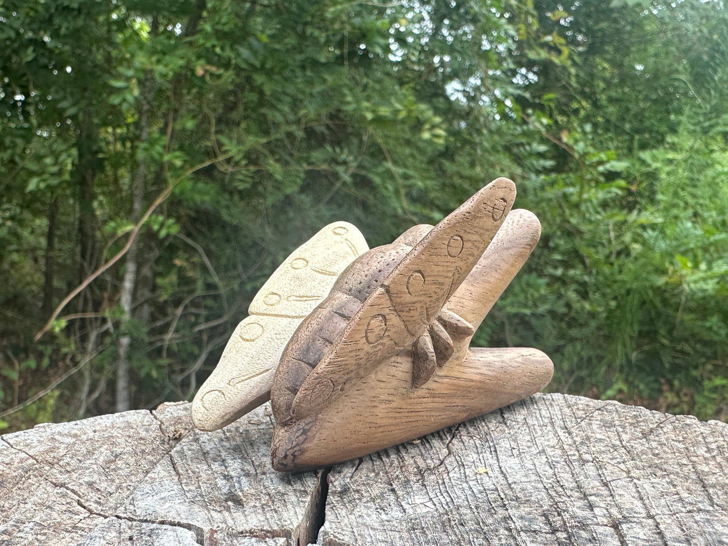 Butterfly kuripe