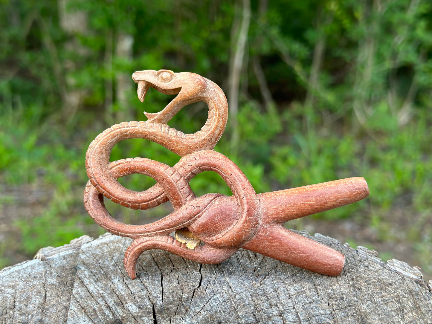Coiled Snake Kuripe (self applicator for hapé/rapé snuff)