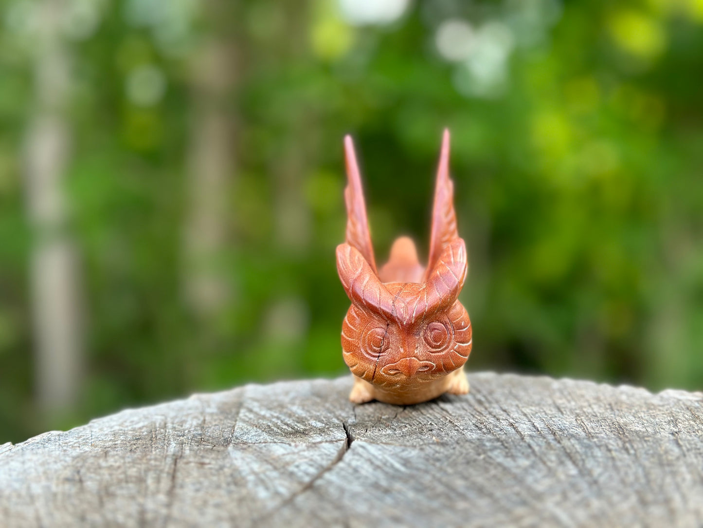 Owl flying 🦉 Kuripe