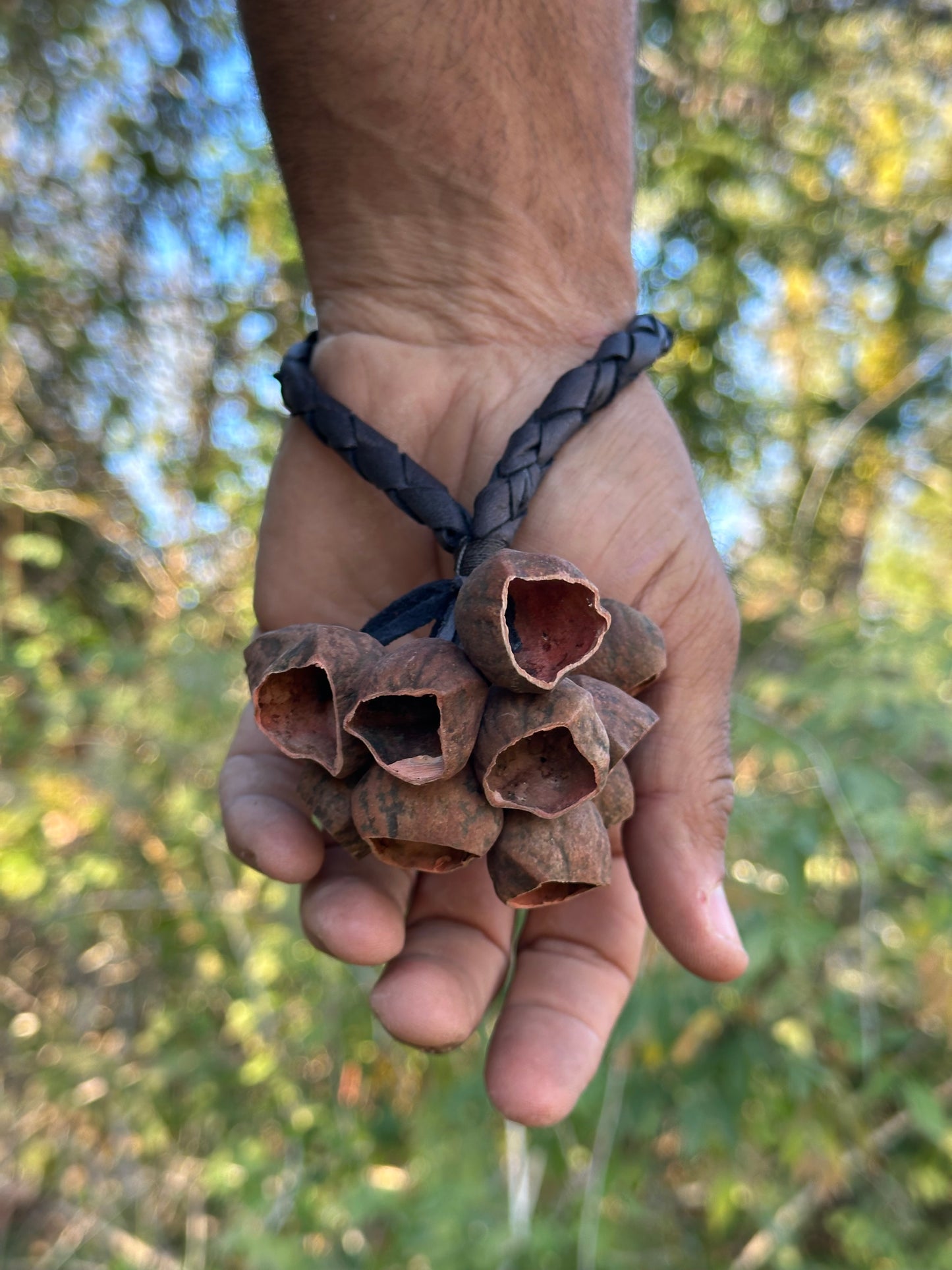Colombian Pala Seed Wrist Shaker