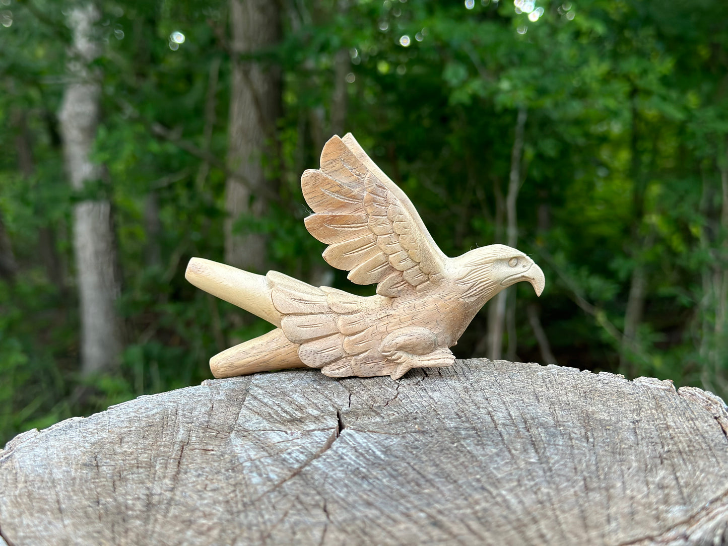 Águila Águila 🦅 kuripe