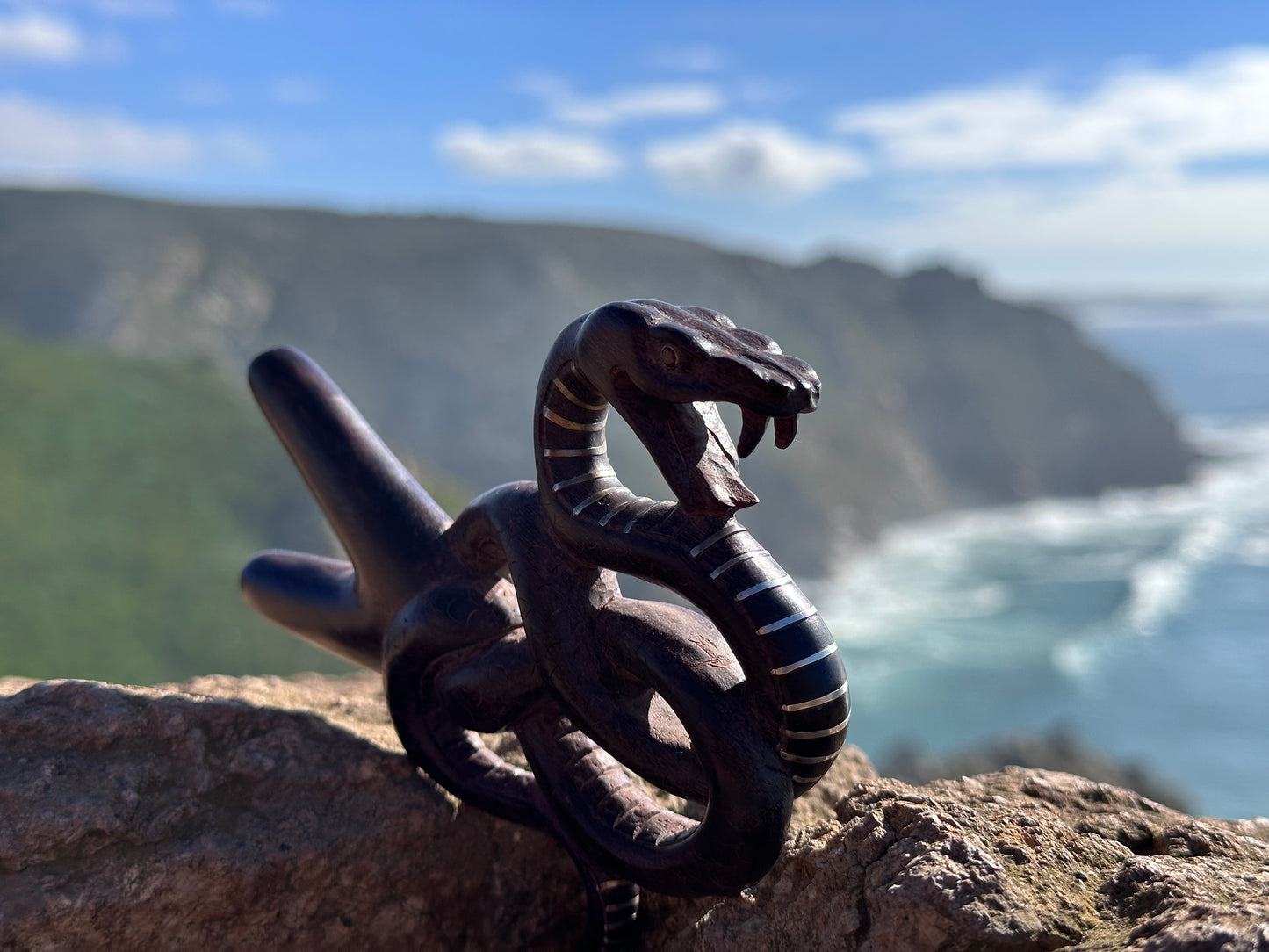 Coiled Snake Kuripe (self applicator for hapé/rapé snuff)