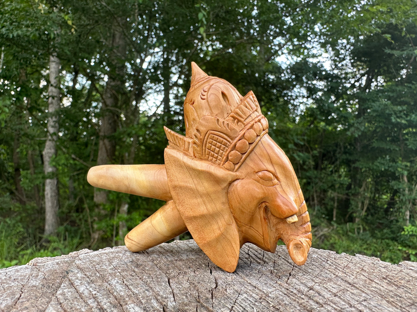 Master Ganesha Kuripe