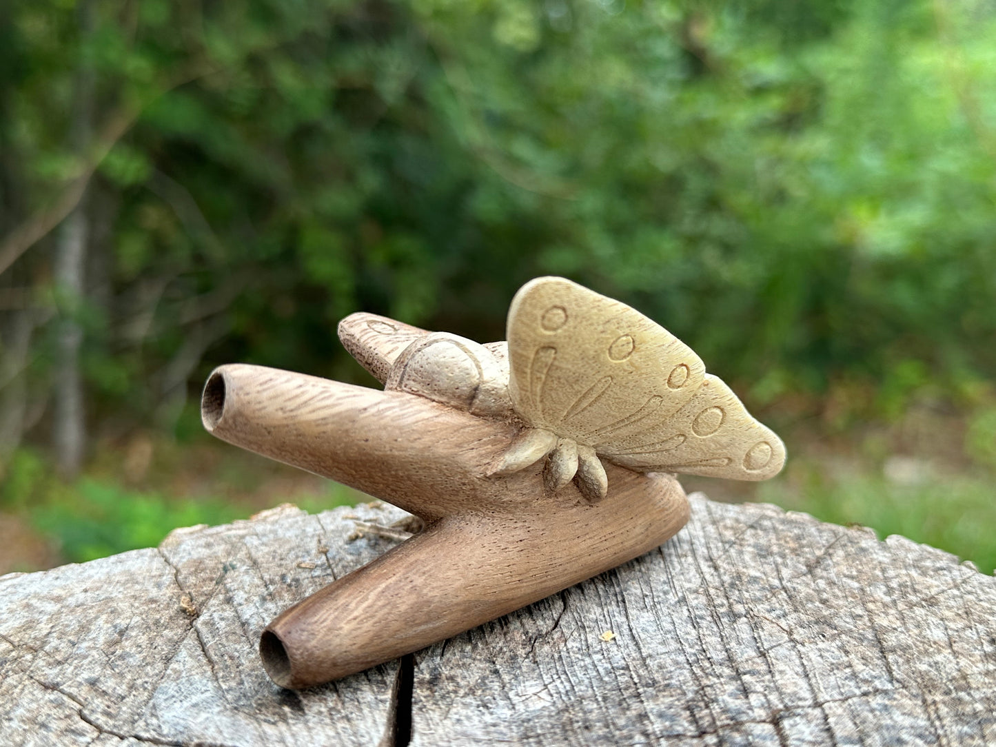 Butterfly kuripe