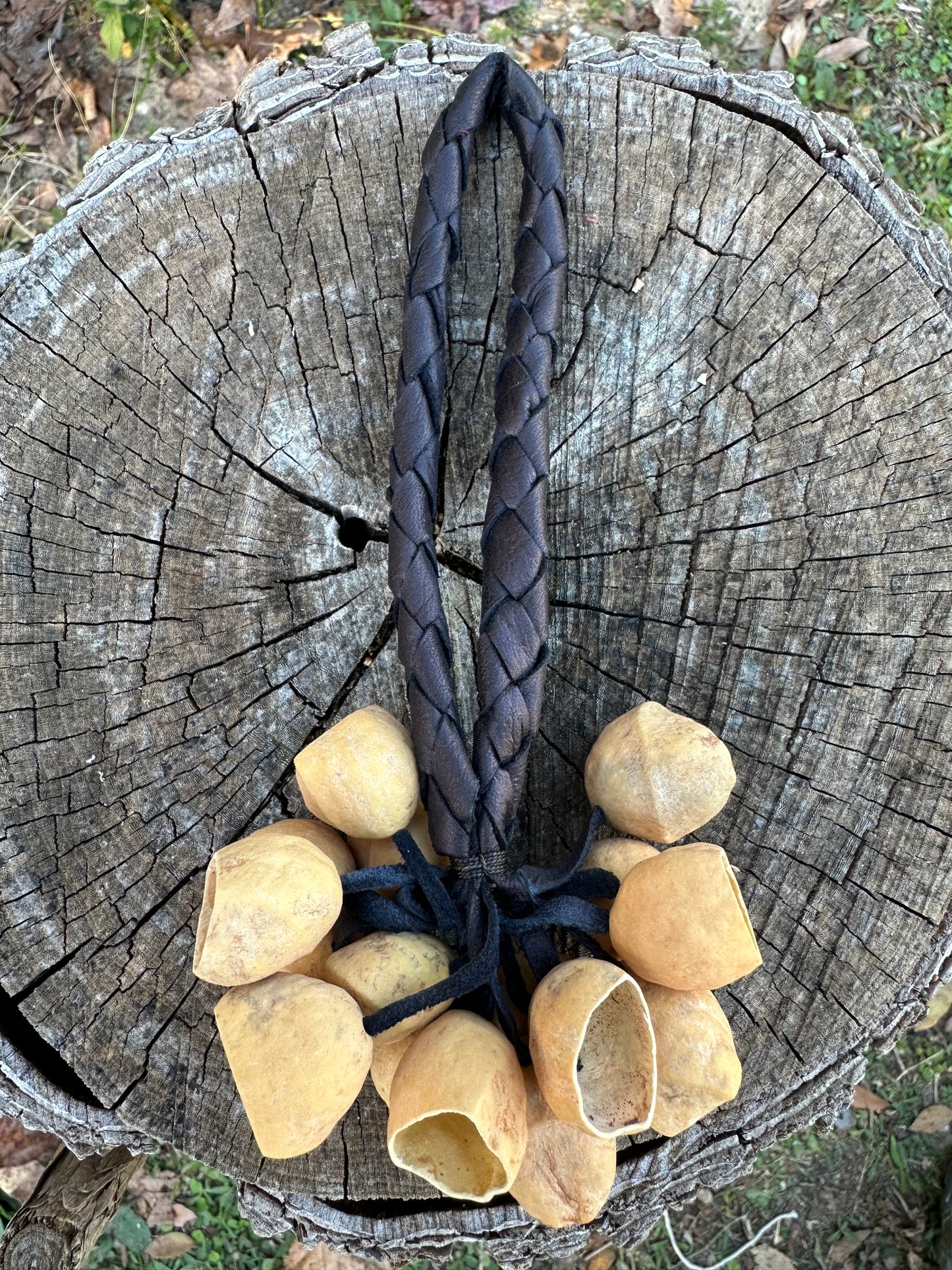 Colombian Pala Seed Wrist Shaker