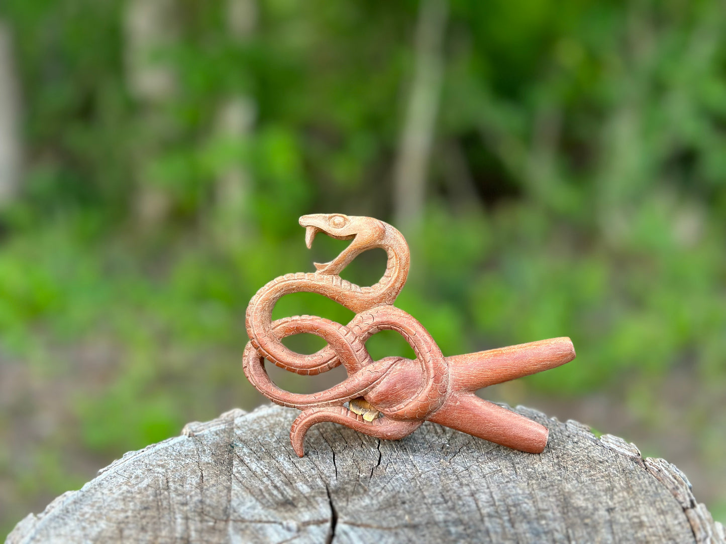 Coiled Snake Kuripe (self applicator for hapé/rapé snuff)