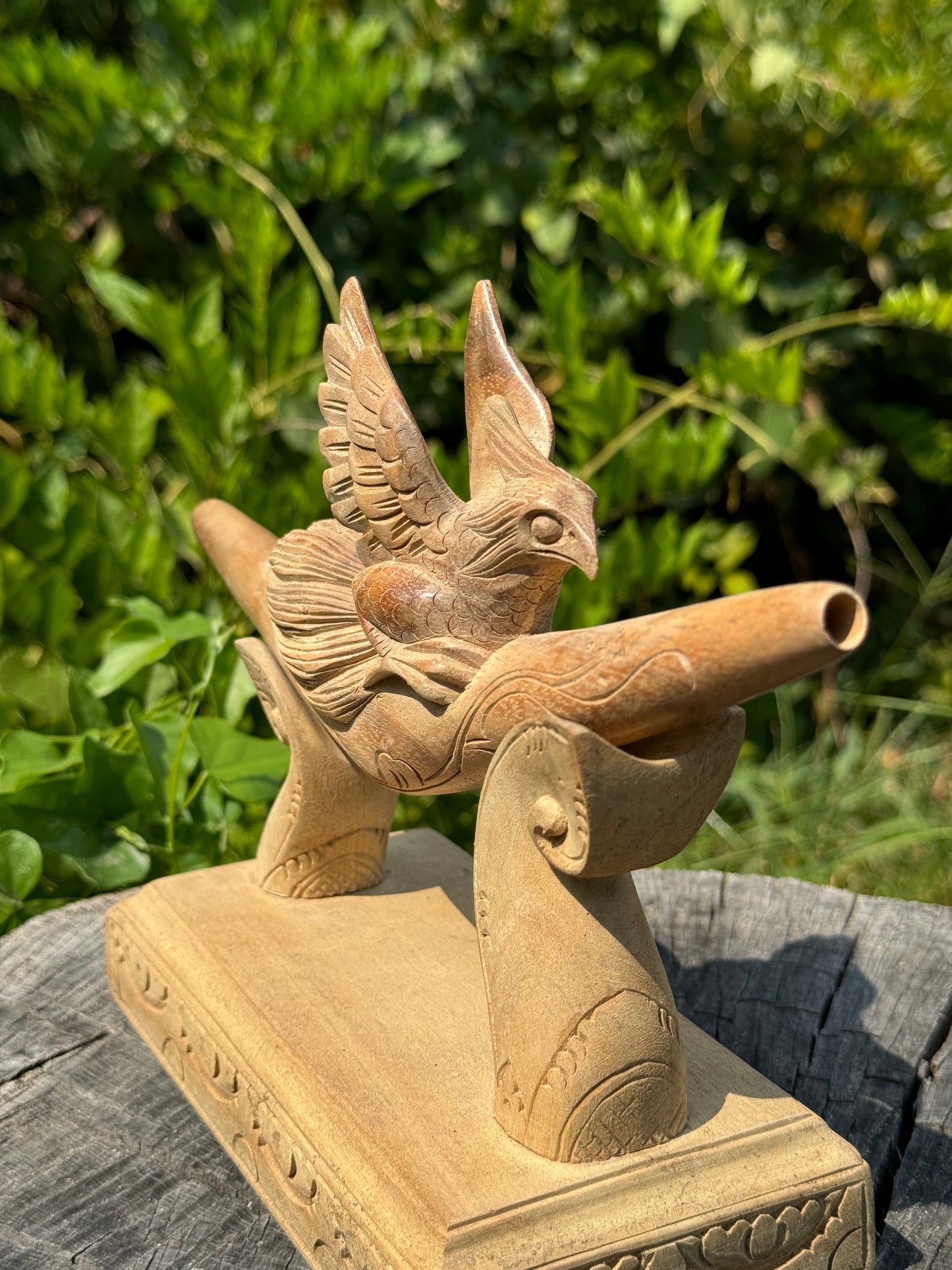 Halcón Pájaro Kuripe