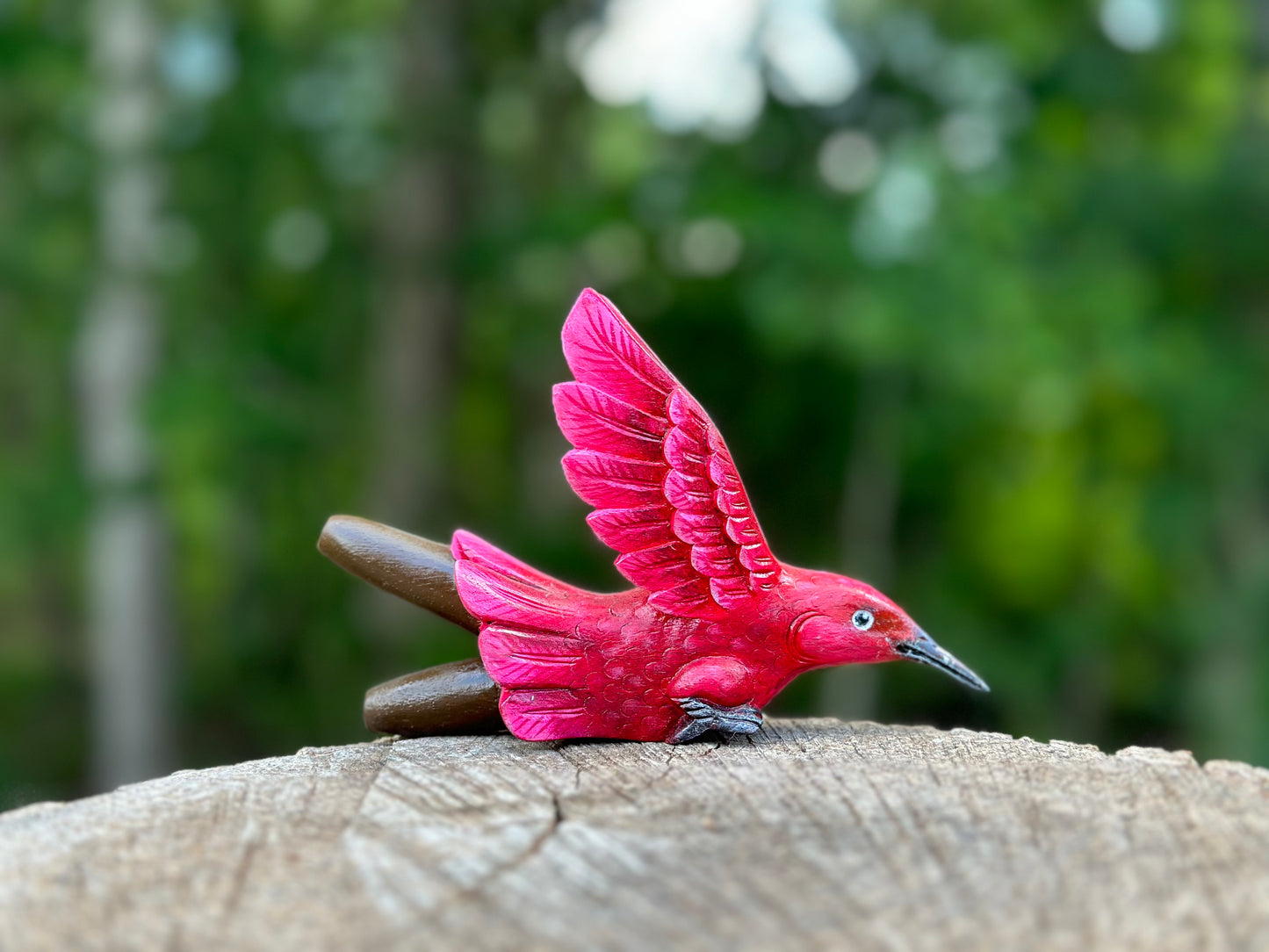 Colibrí Kuripe