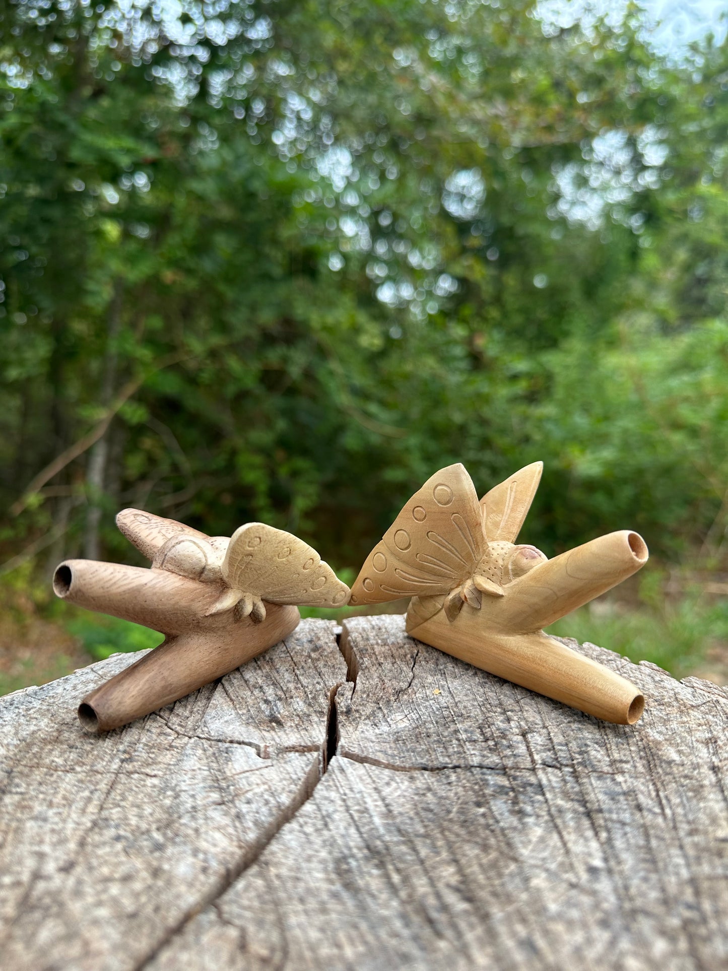 Butterfly kuripe
