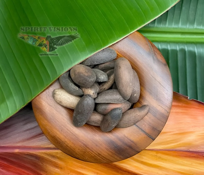 VEIA DE PAJÉ HAPÉ - Tribu Yawanawa