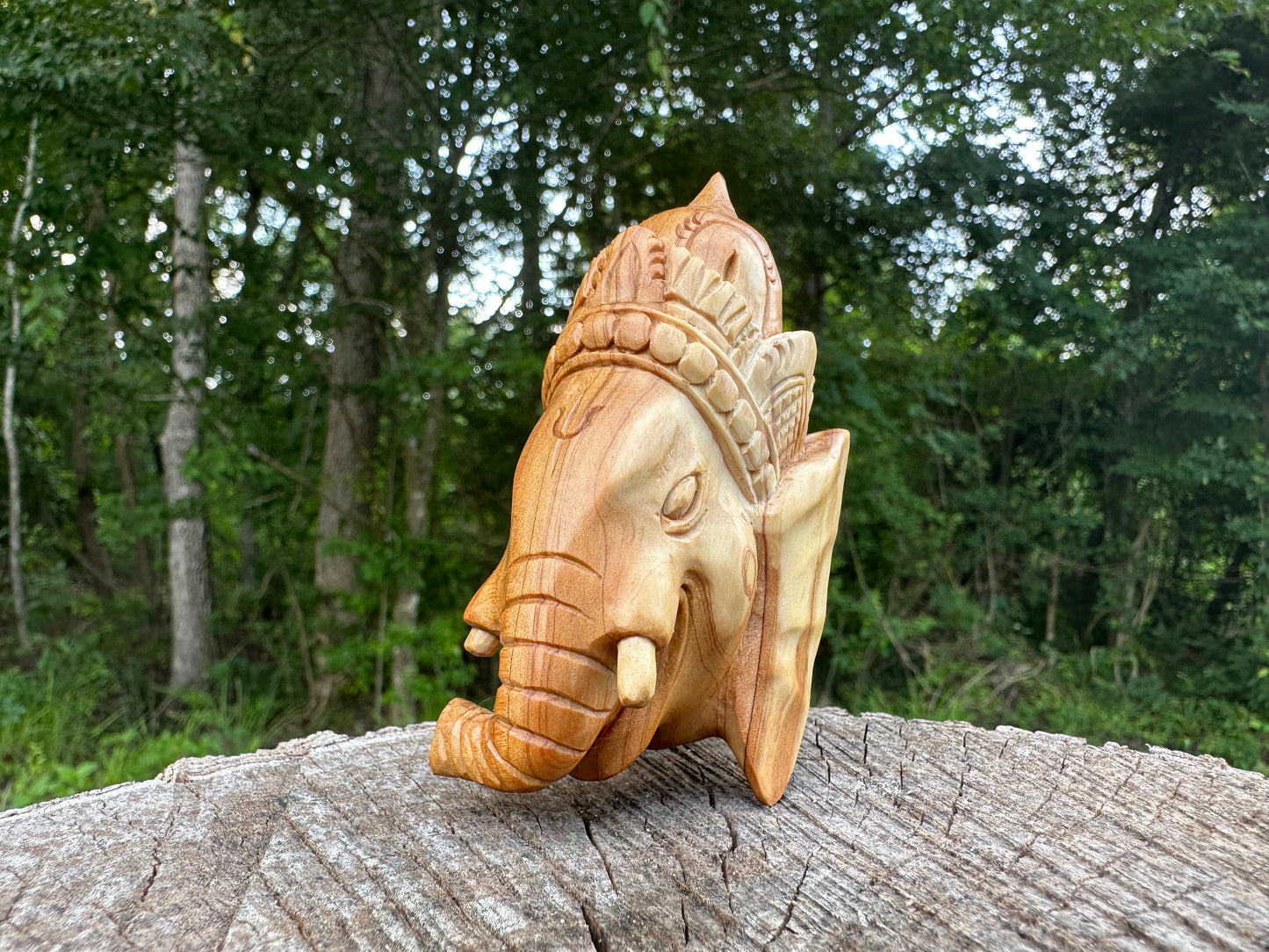 Master Ganesha Kuripe
