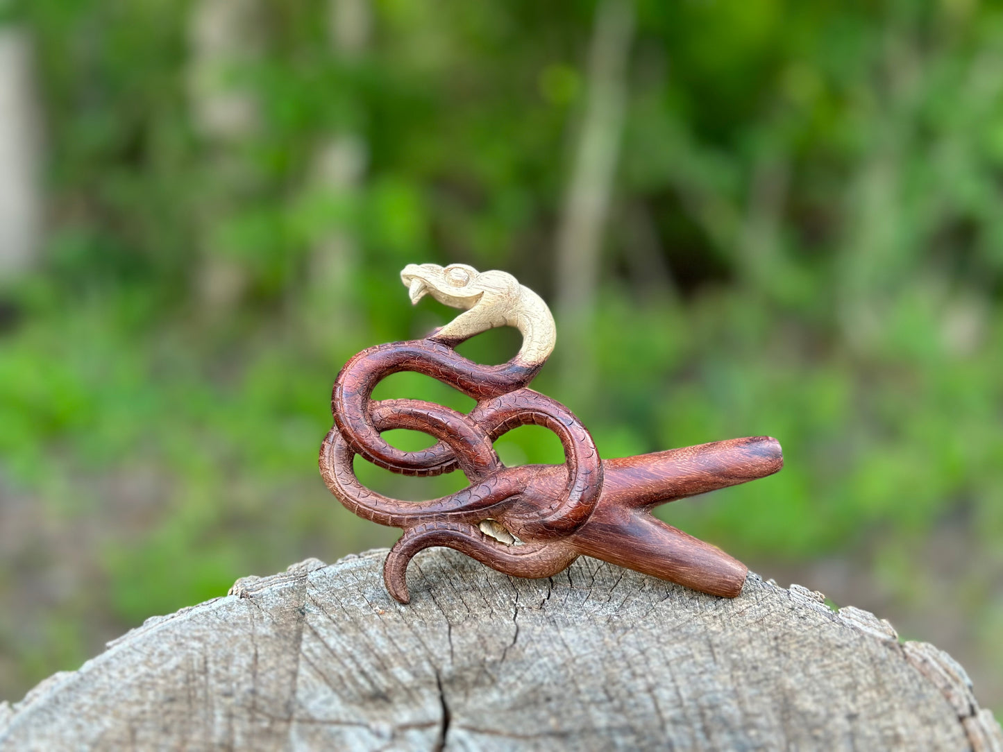 Coiled Snake Kuripe (self applicator for hapé/rapé snuff)