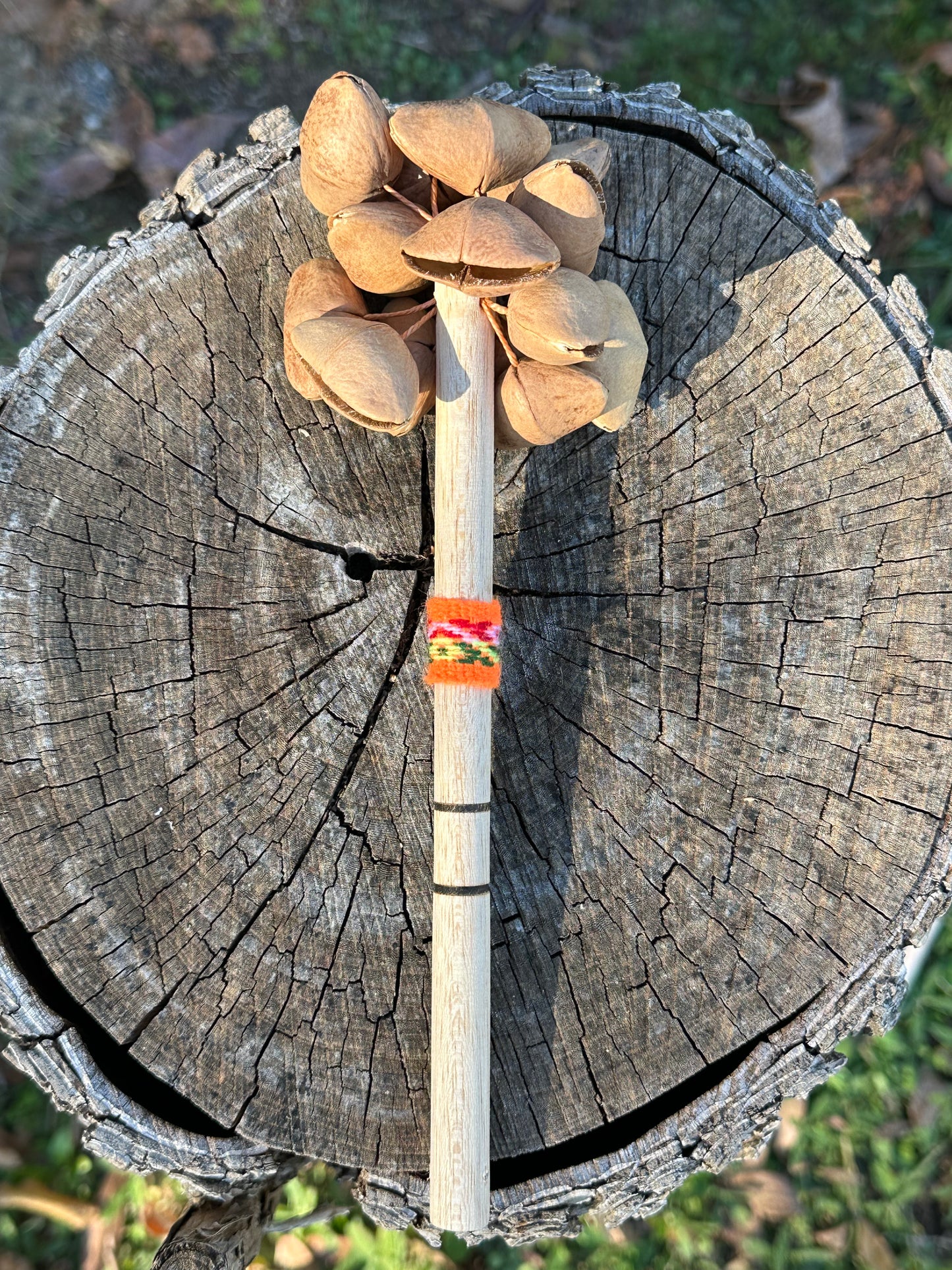 Colombian Kenari Seed Shaker