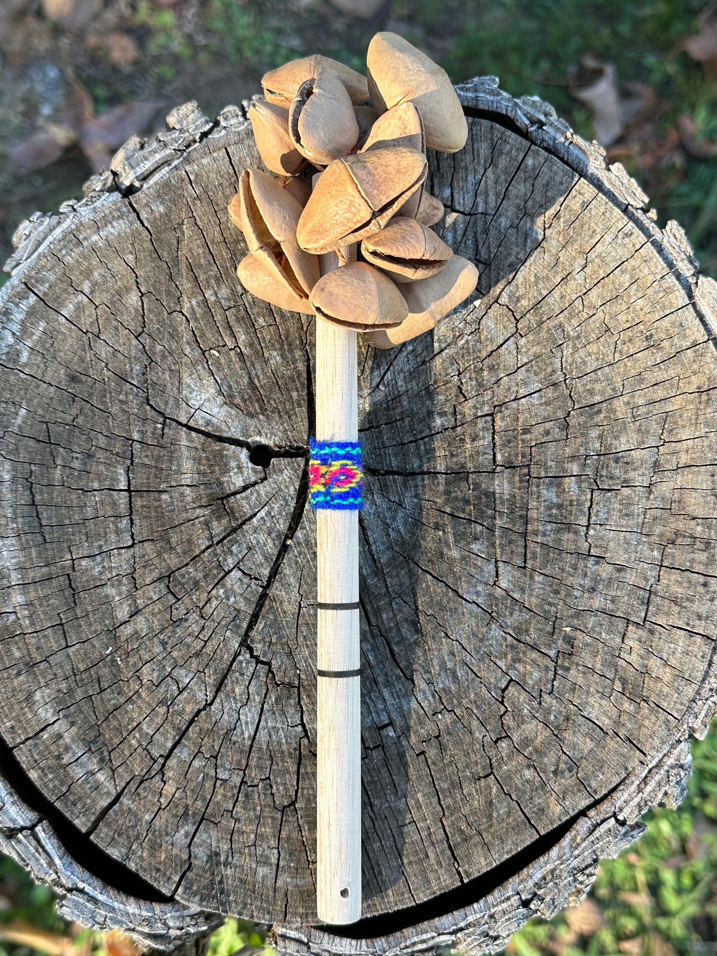 Colombian Kenari Seed Shaker