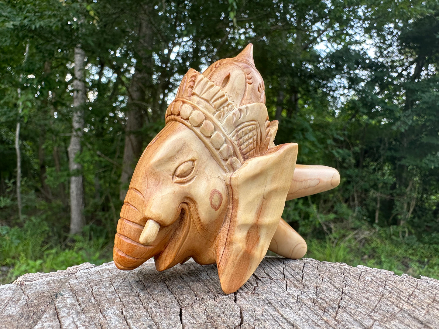 Master Ganesha Kuripe