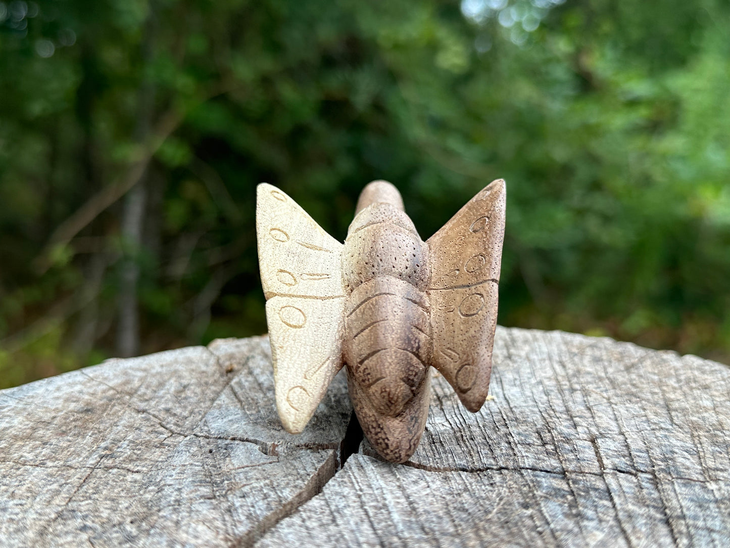 Butterfly kuripe