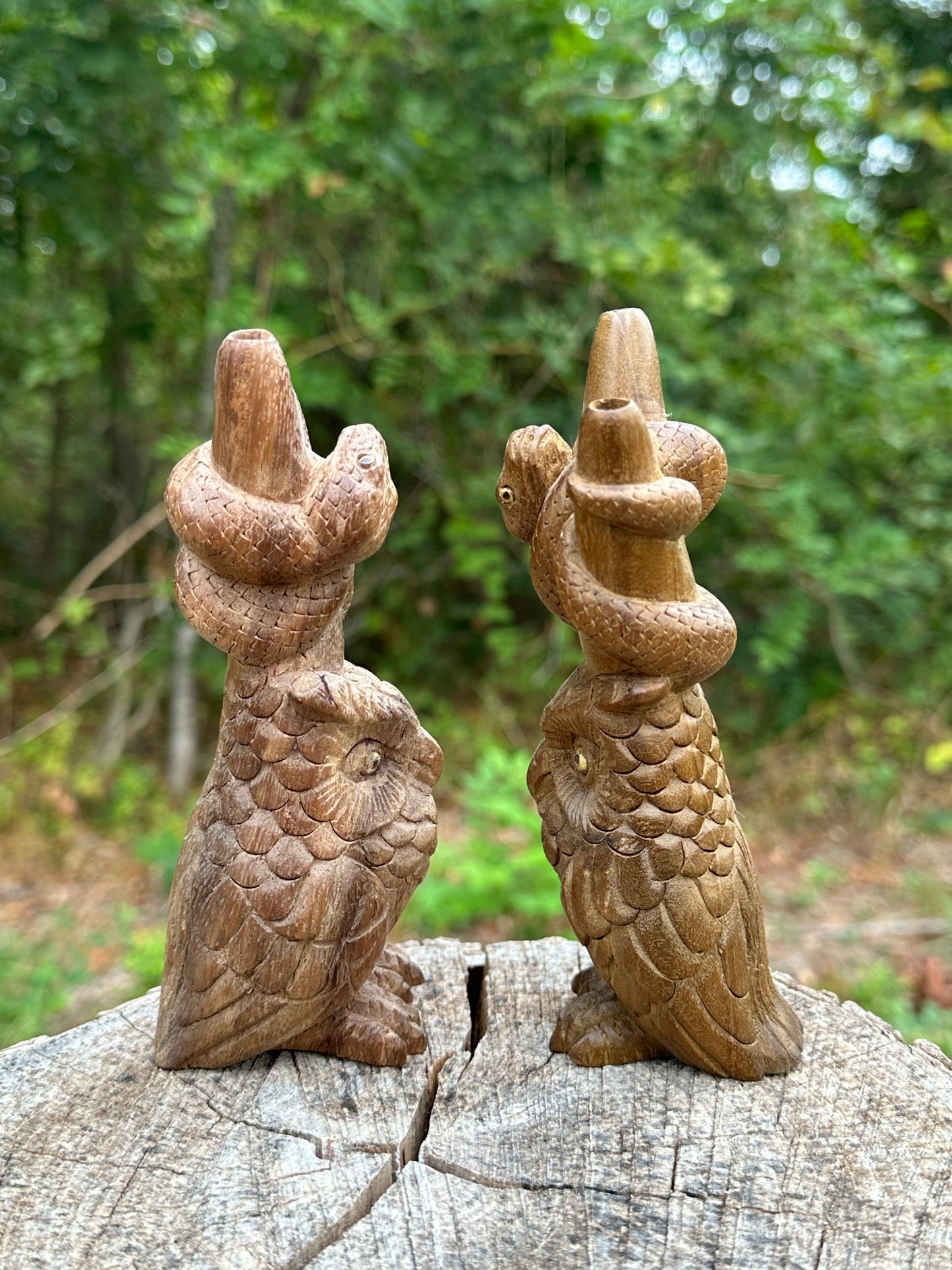 Búho y serpiente Kuripe