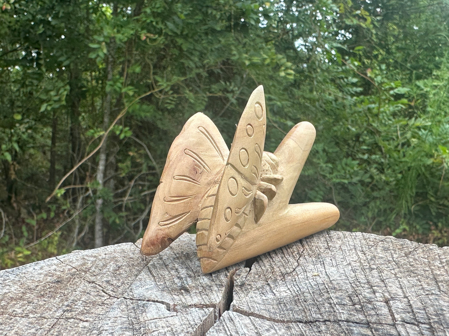 Butterfly kuripe