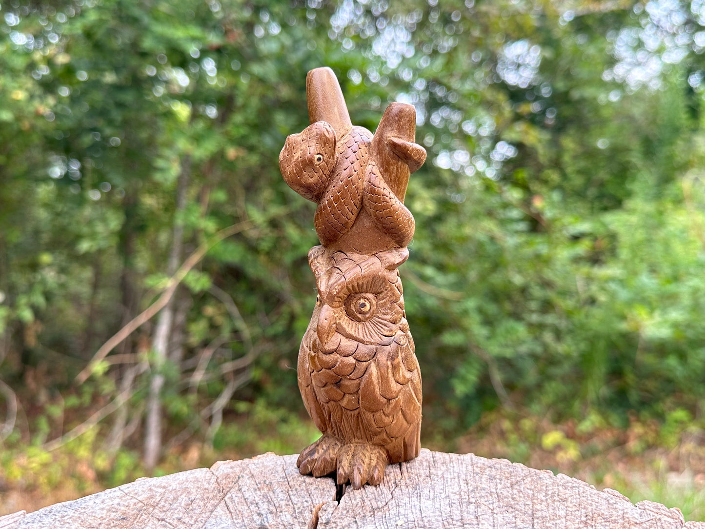 Búho y serpiente Kuripe