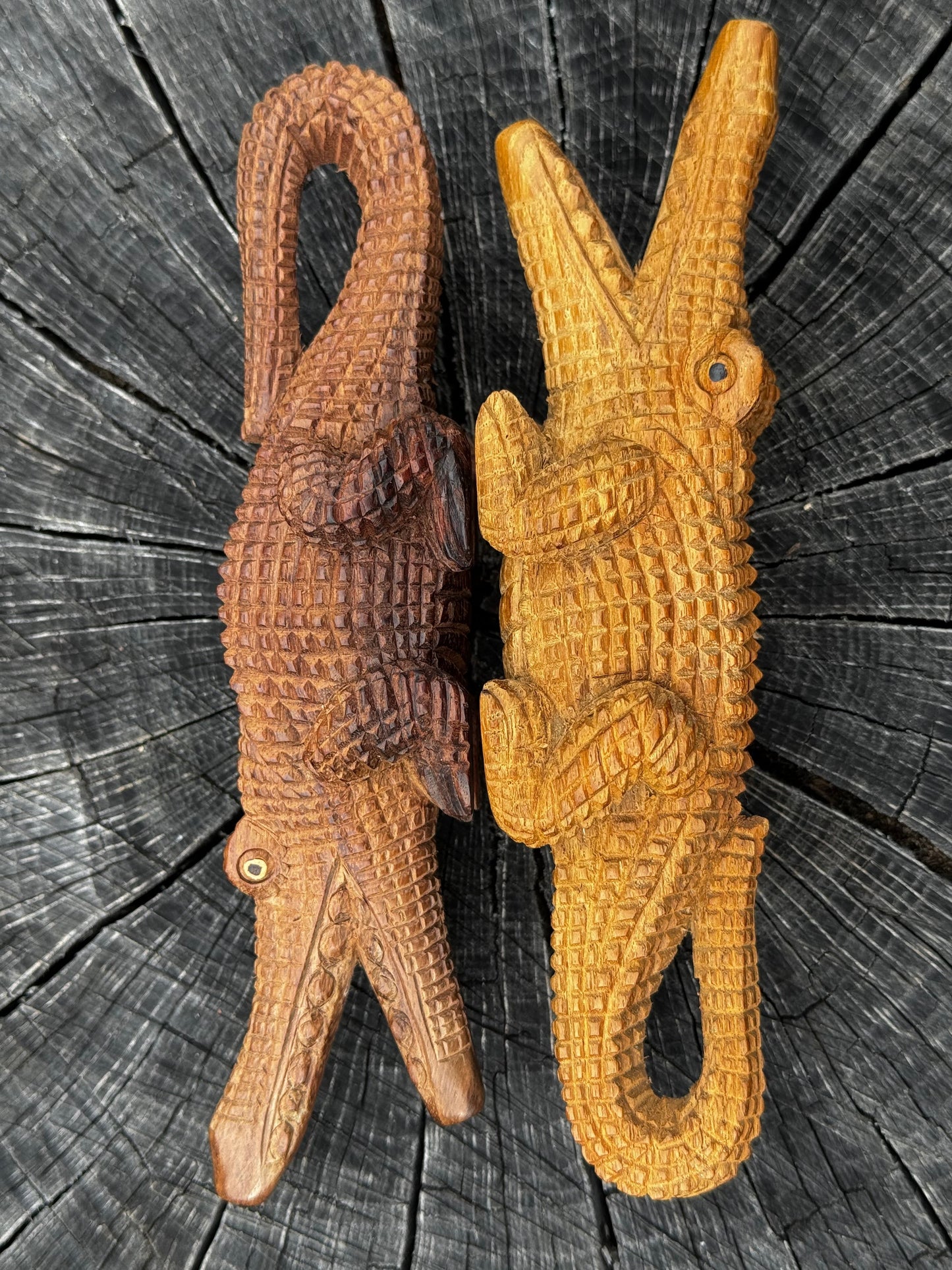 Kuripe de cocodrilo