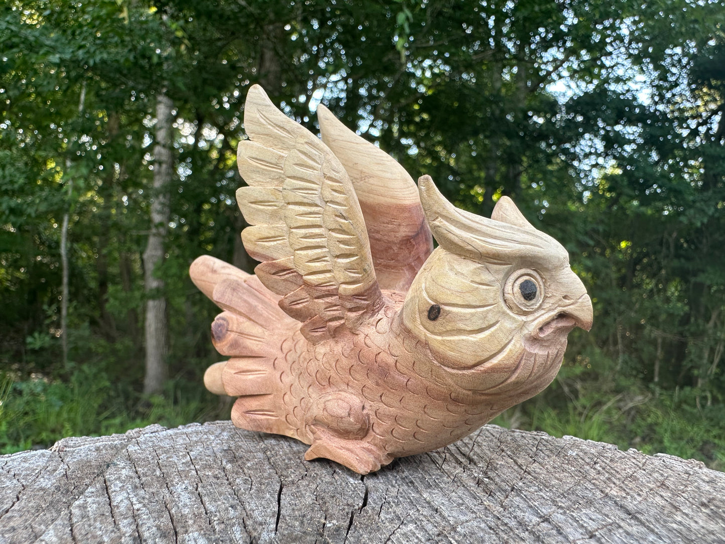 Owl flying 🦉 Kuripe