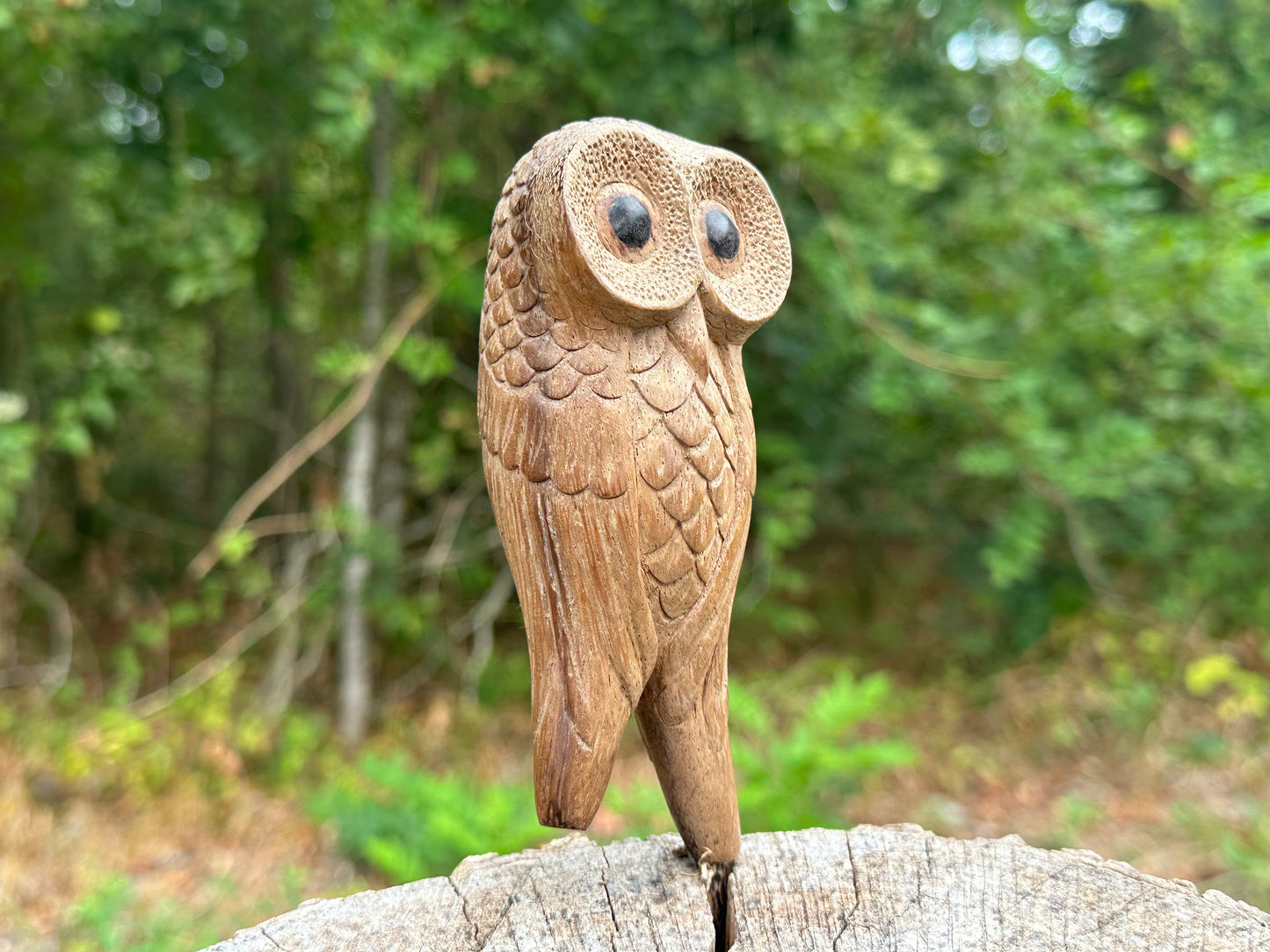 Búho posado Kuripe