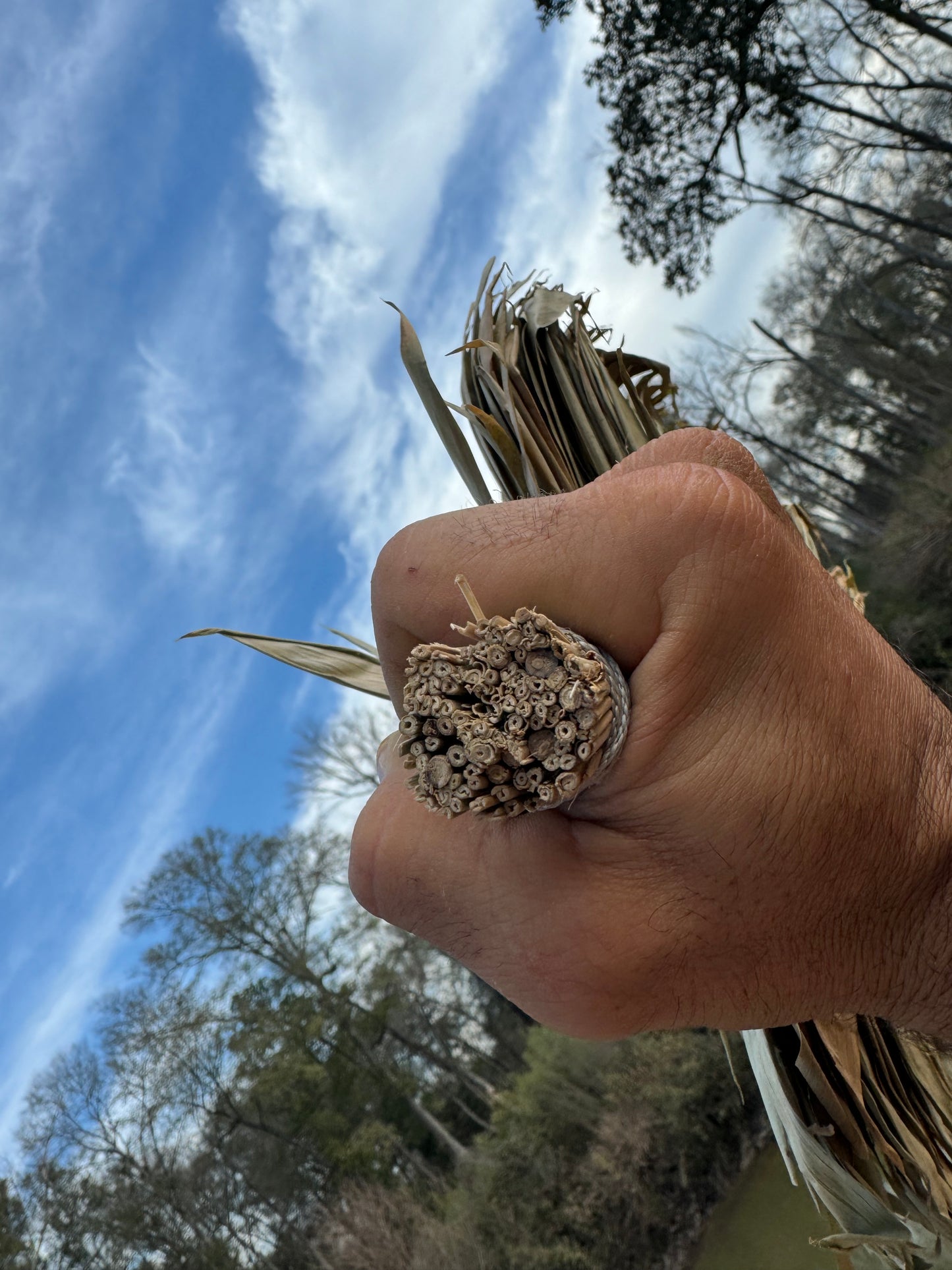 Colombian Waira/ Chacapa - Shamanic Leaf Rattle
