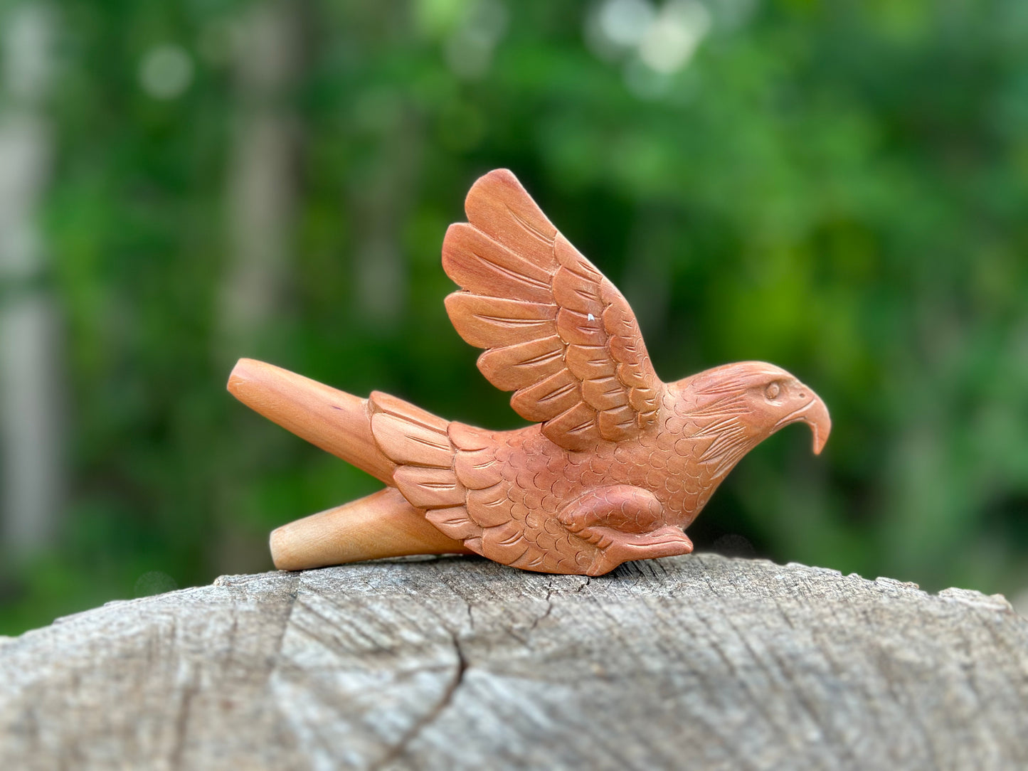 Águila Águila 🦅 kuripe