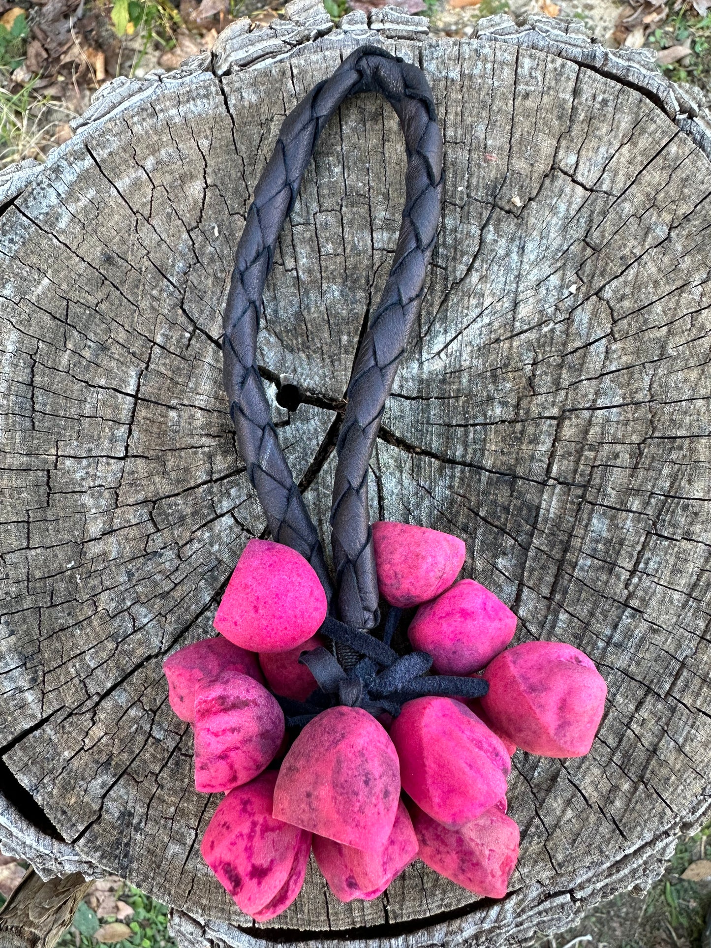 Colombian Pala Seed Wrist Shaker