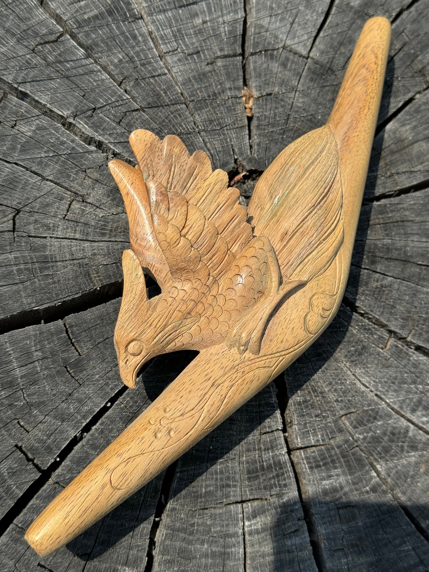 Halcón Pájaro Kuripe