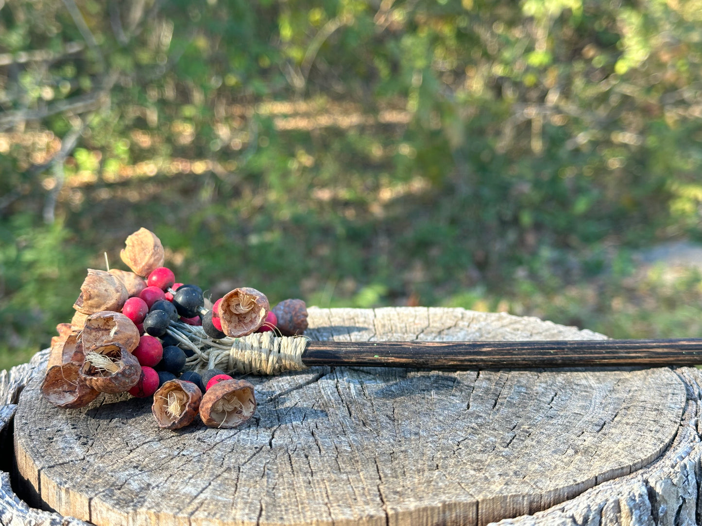 Colombian Pangi Nut Shaker