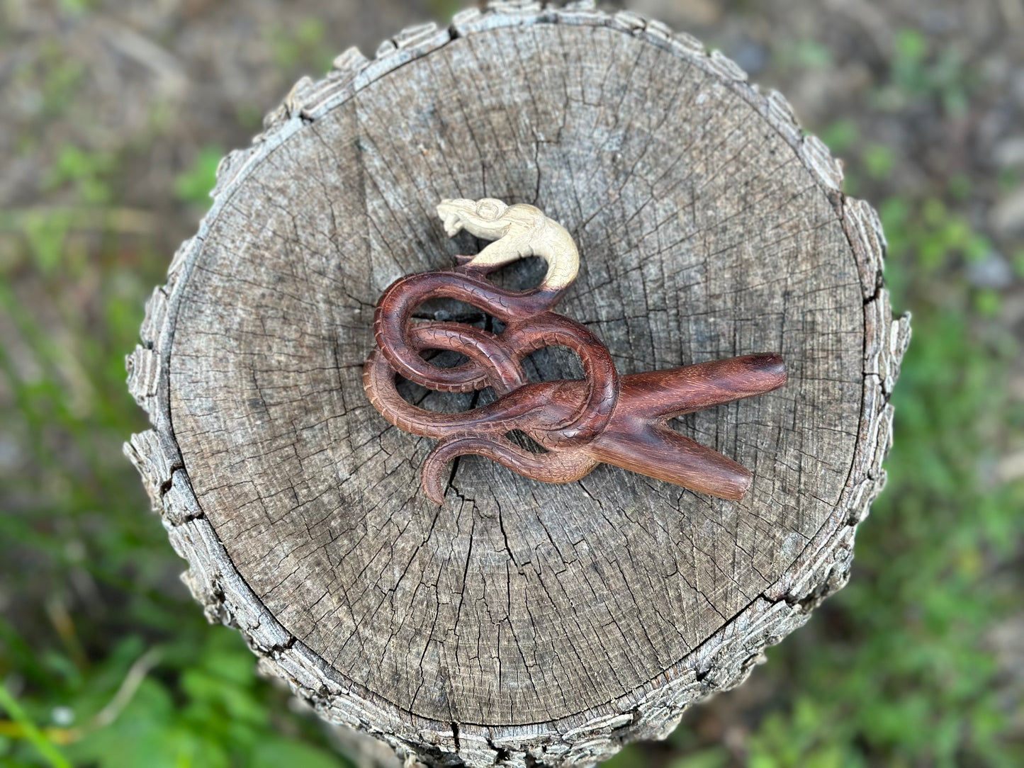 Coiled Snake Kuripe (self applicator for hapé/rapé snuff)