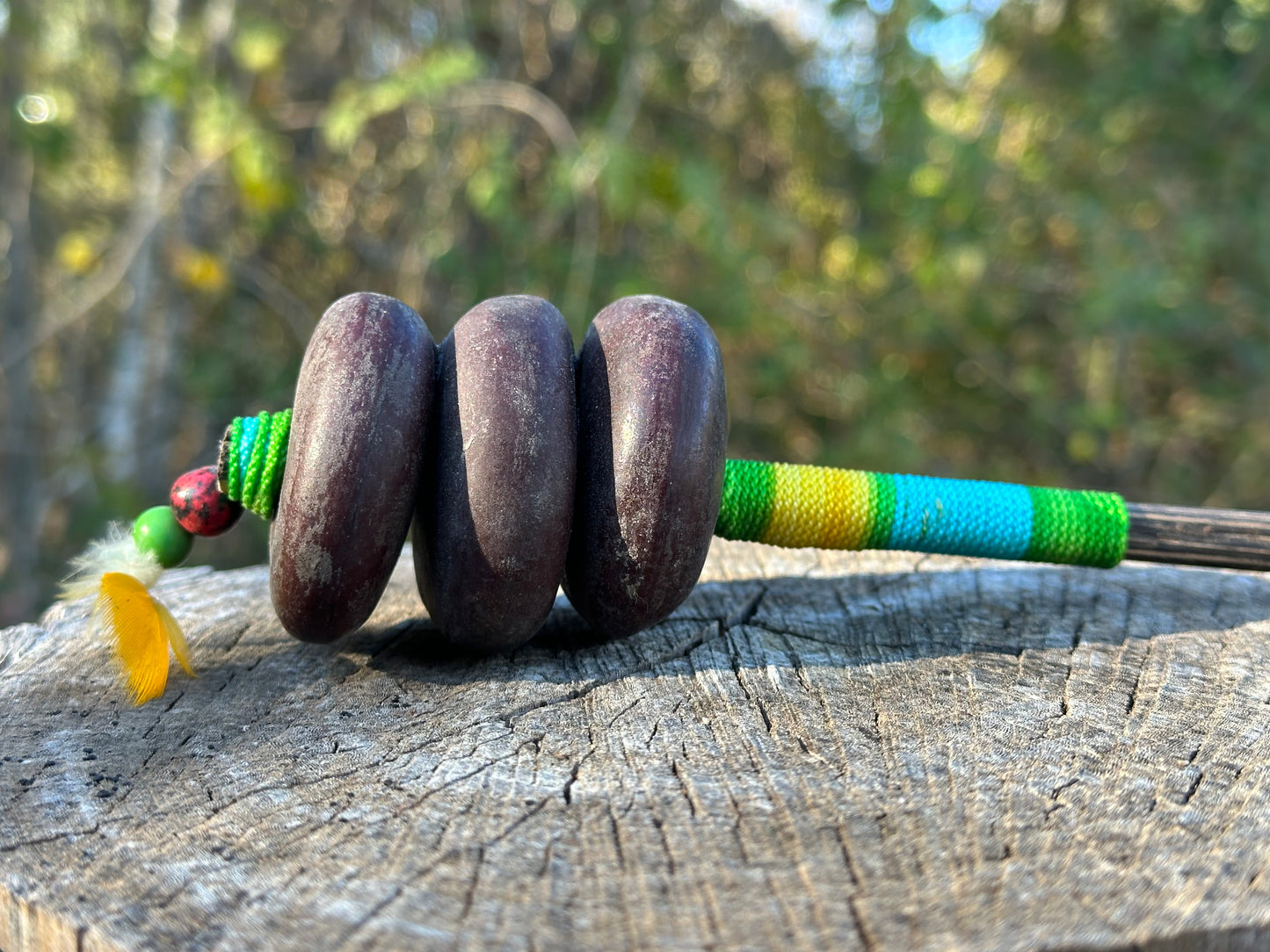 Colombian Entada Seed Shamans Rattle