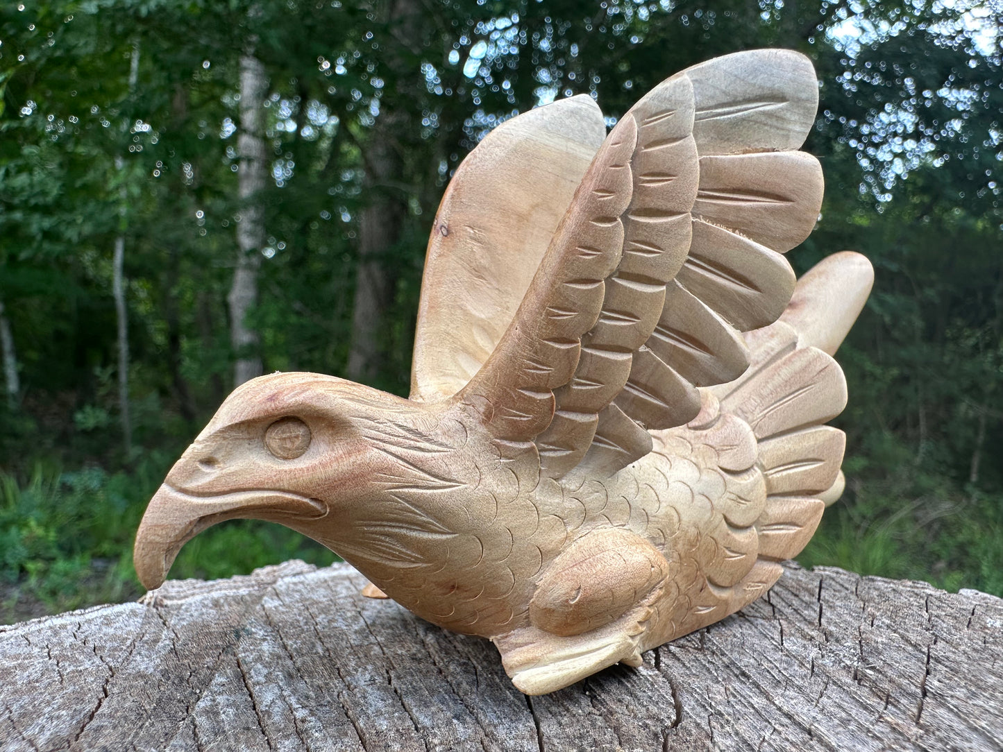 Águila Águila 🦅 kuripe