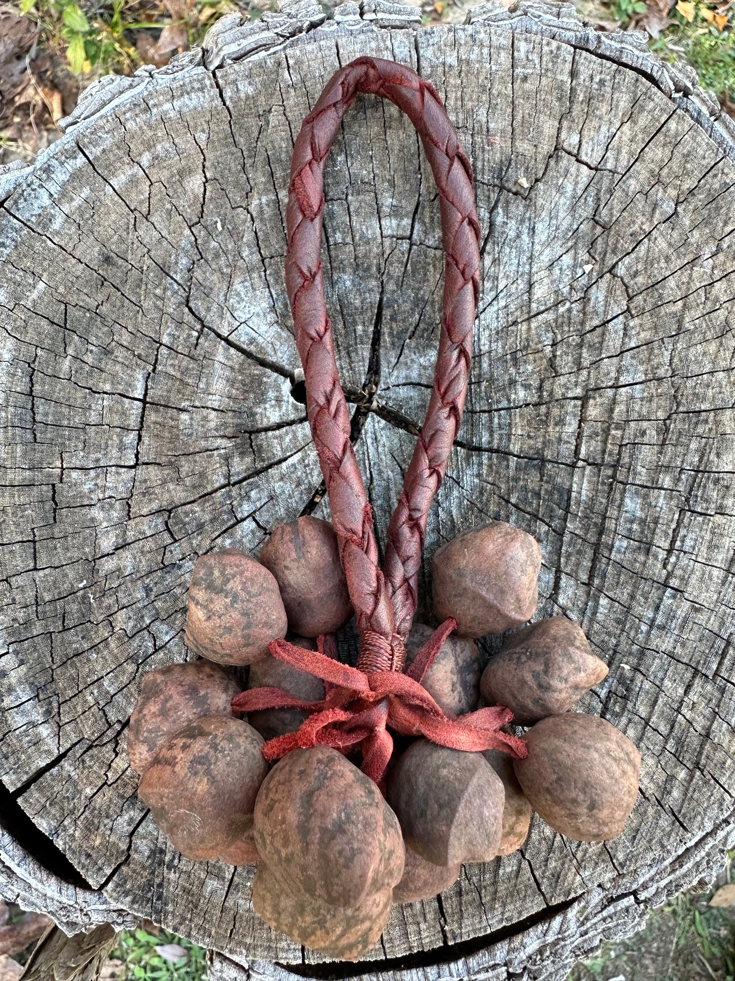 Colombian Pala Seed Wrist Shaker