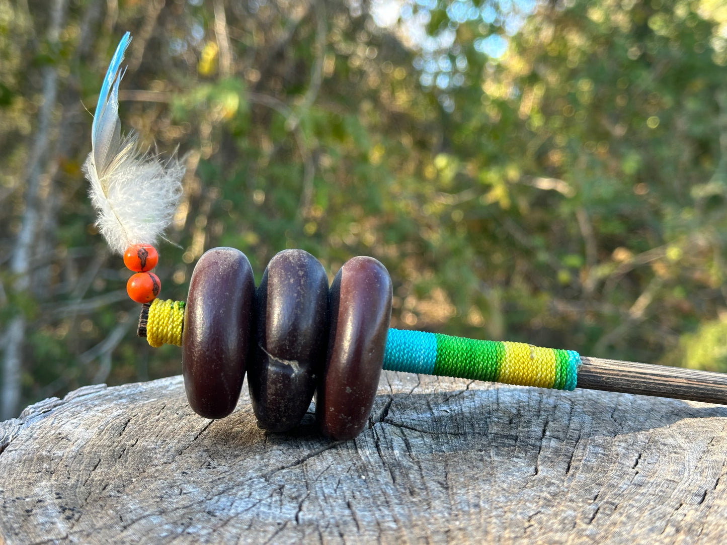 Colombian Entada Seed Shamans Rattle