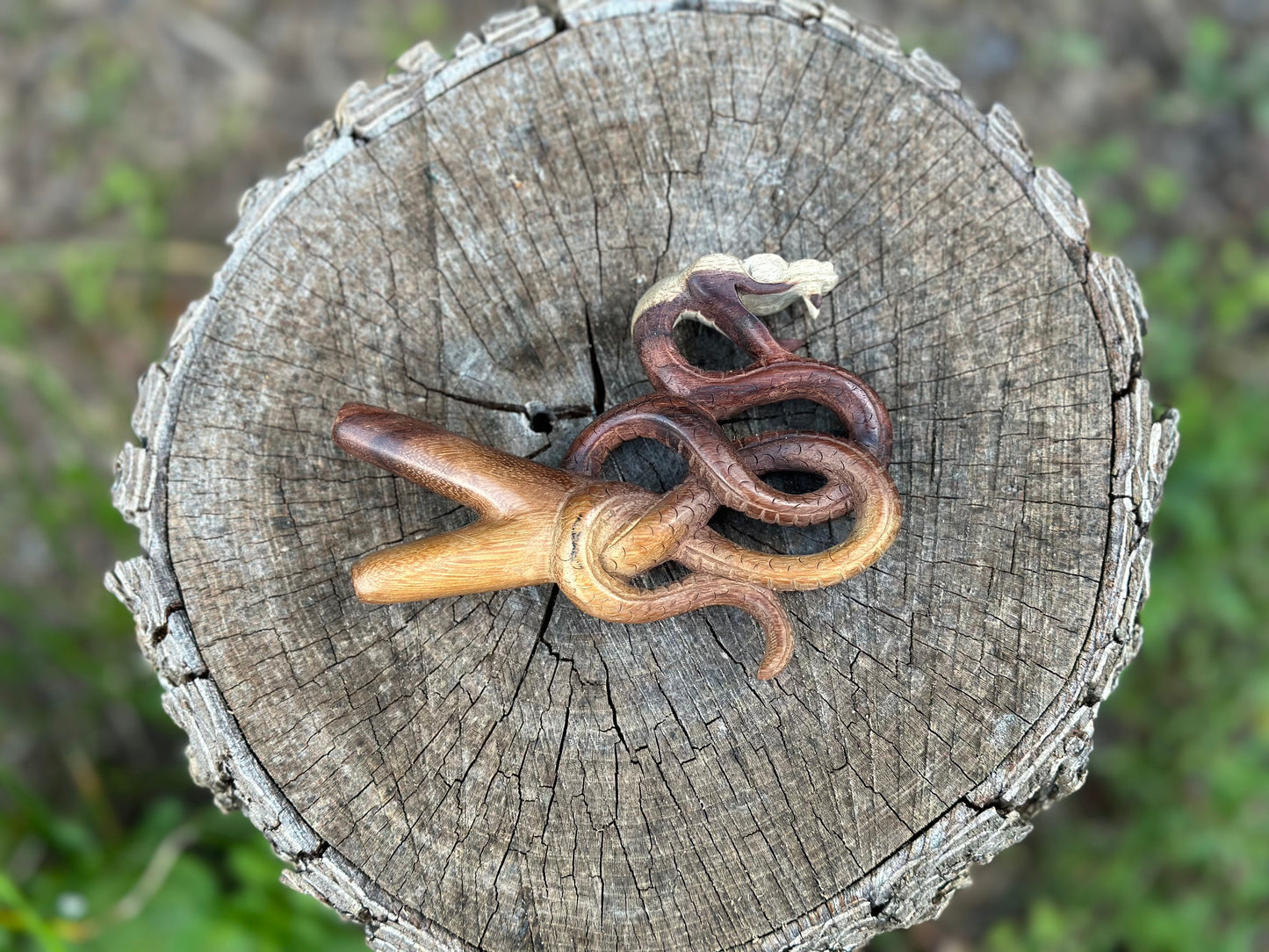 Coiled Snake Kuripe (self applicator for hapé/rapé snuff)