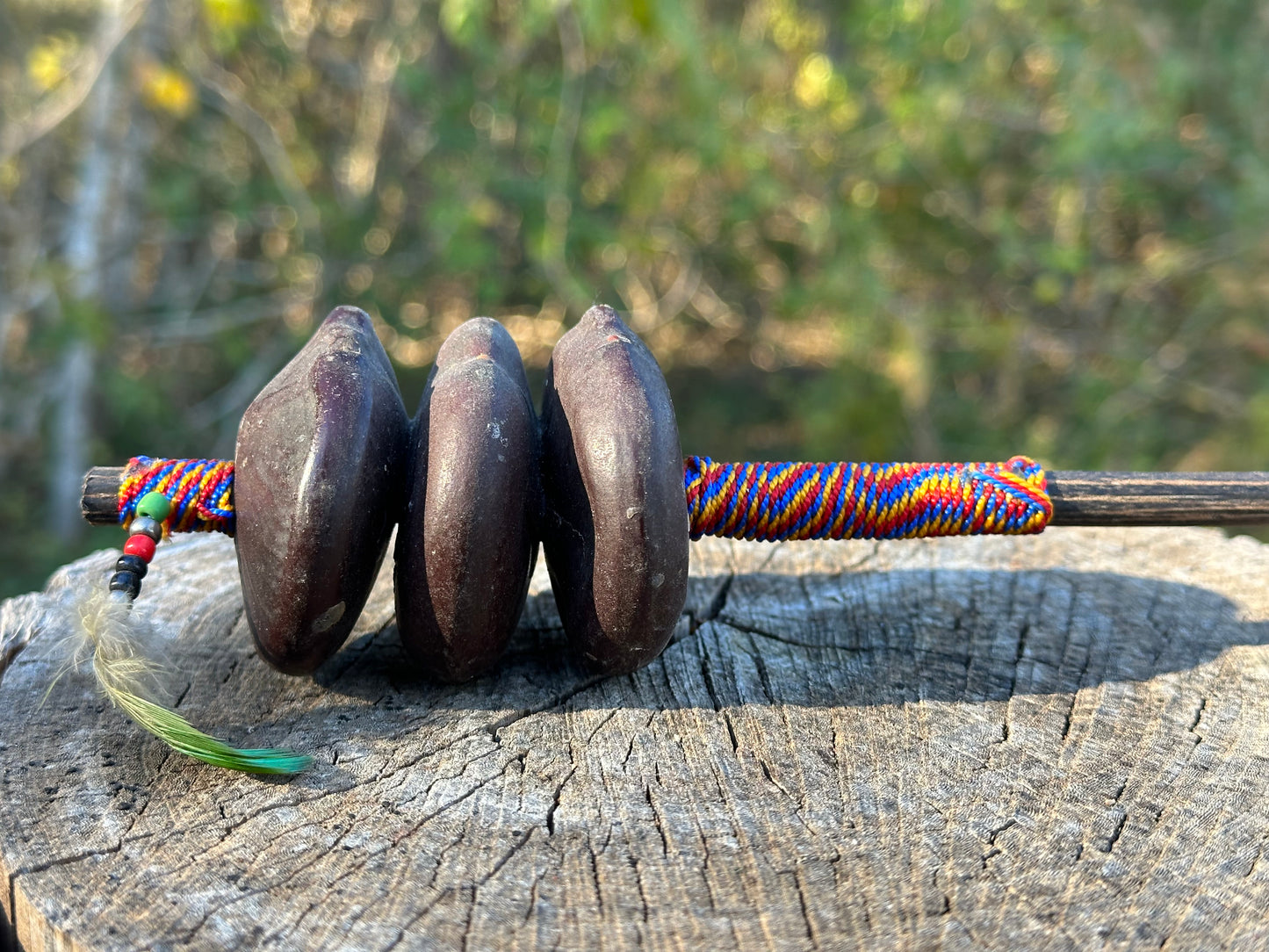Colombian Entada Seed Shamans Rattle