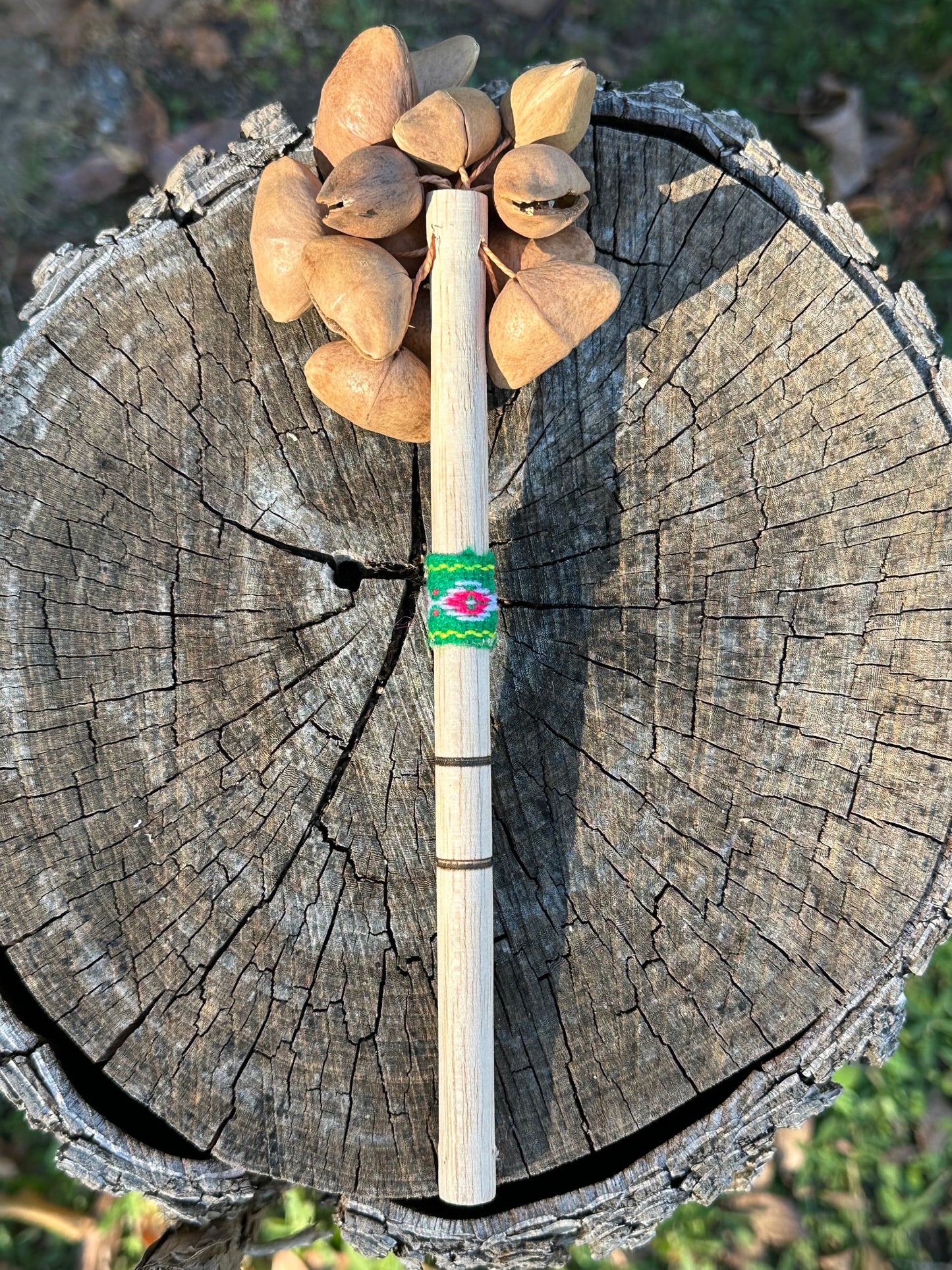 Colombian Kenari Seed Shaker