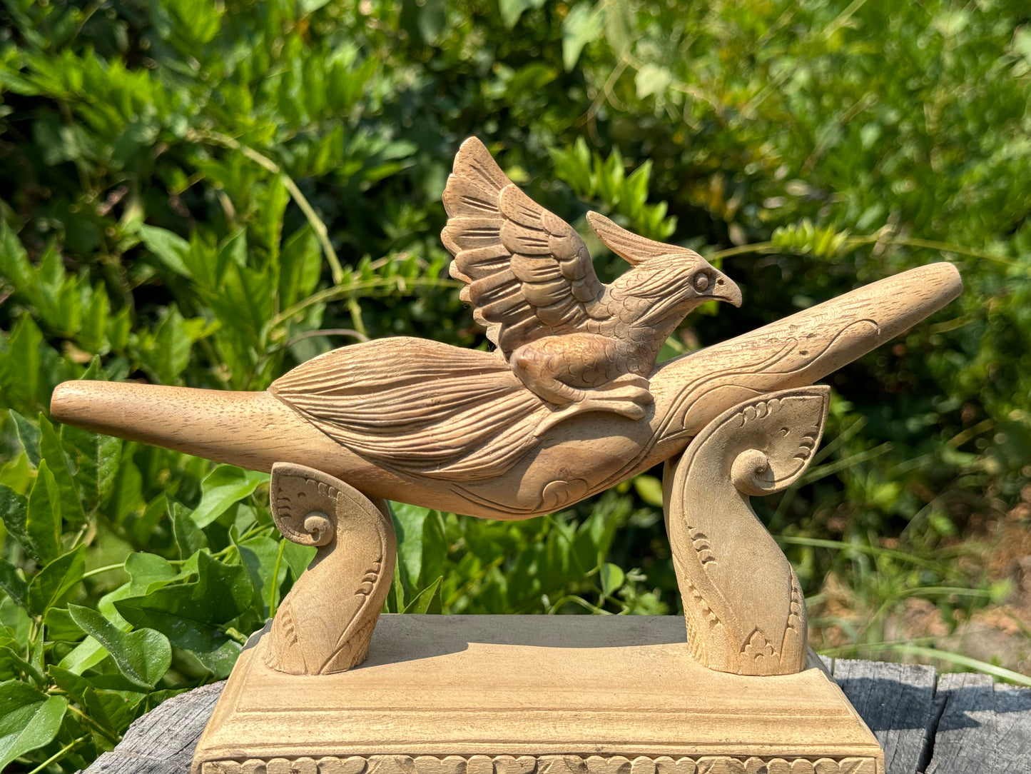 Halcón Pájaro Kuripe