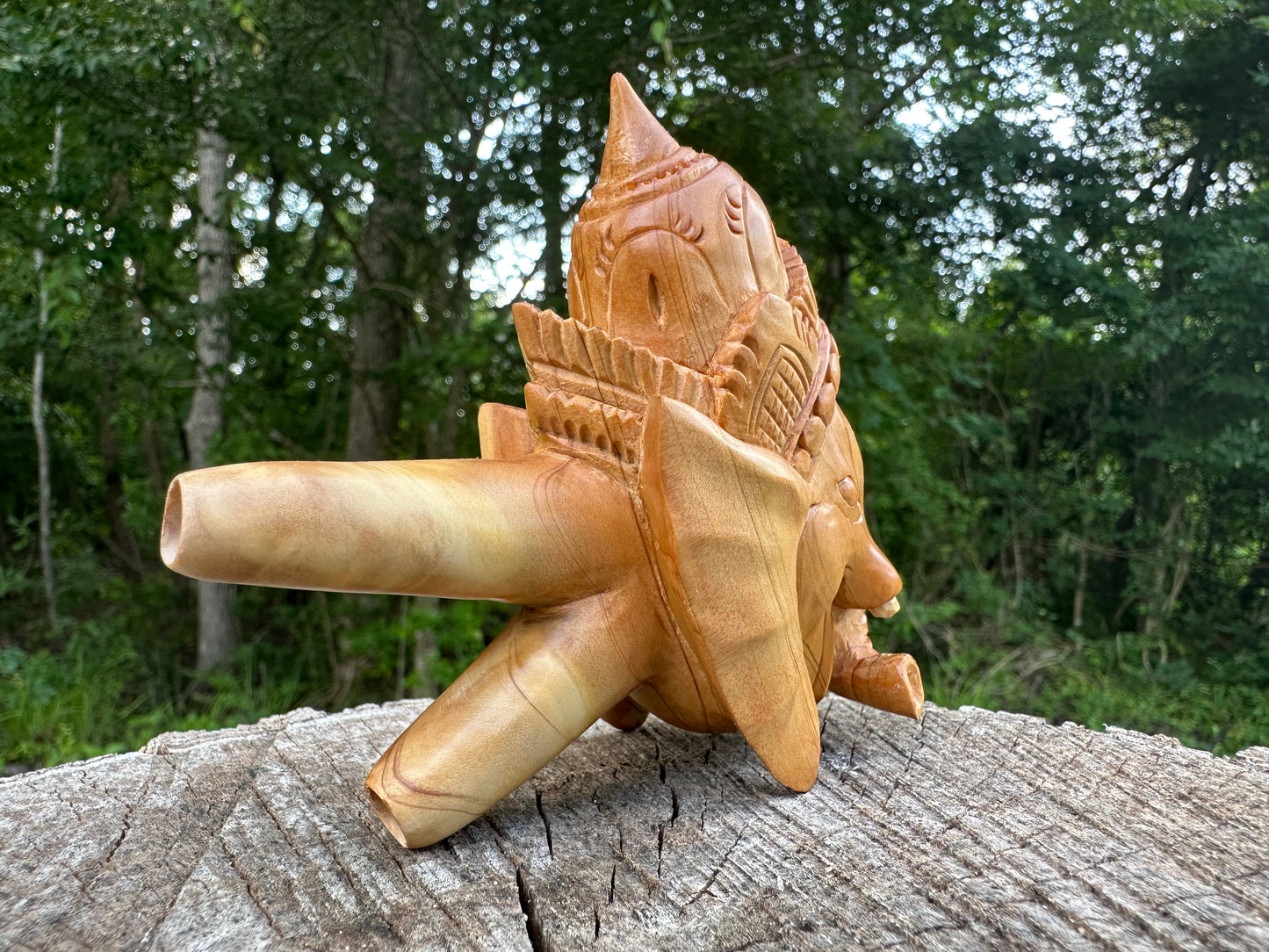 Master Ganesha Kuripe