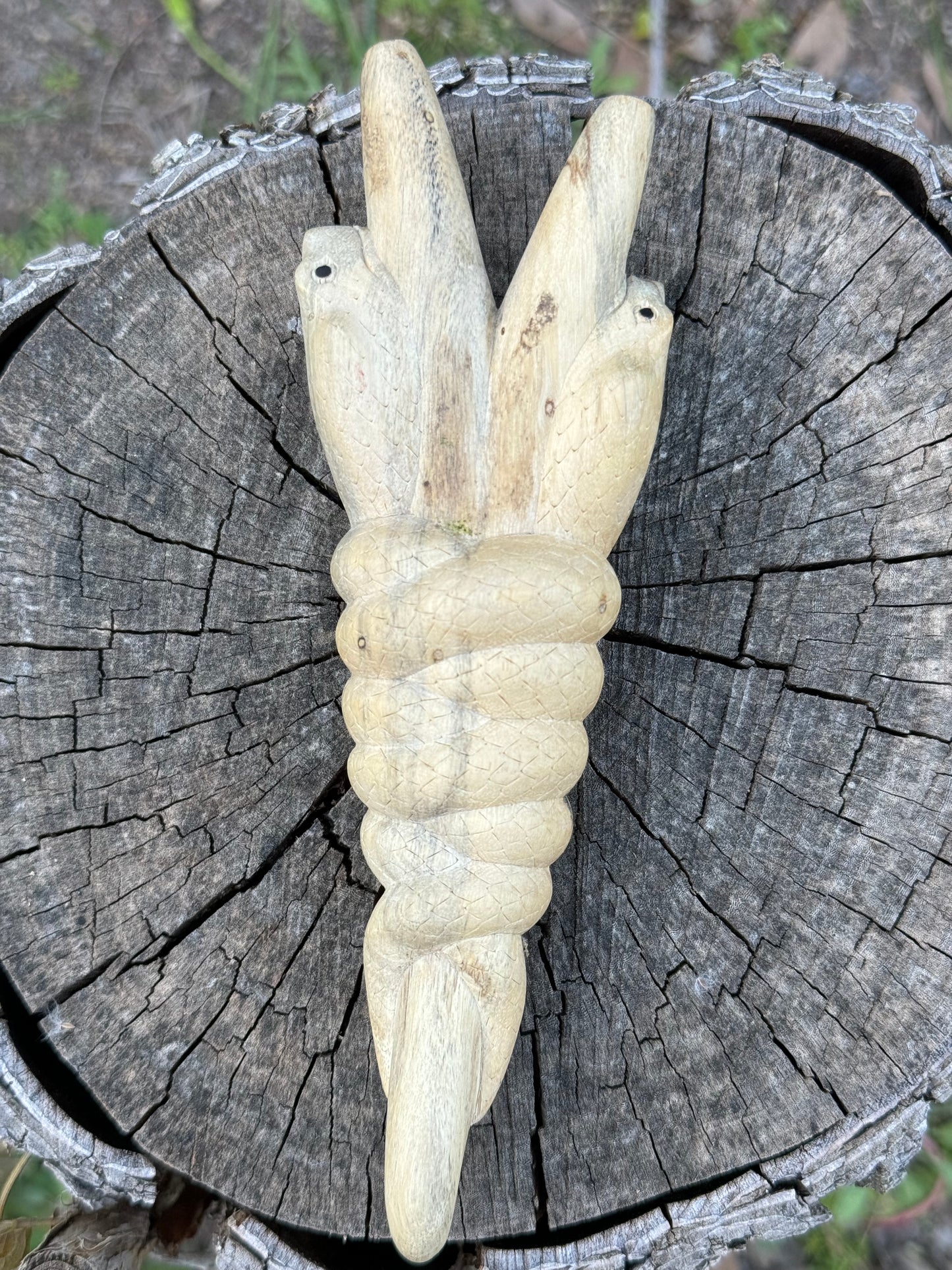 Caduceo Serpiente Kuripe