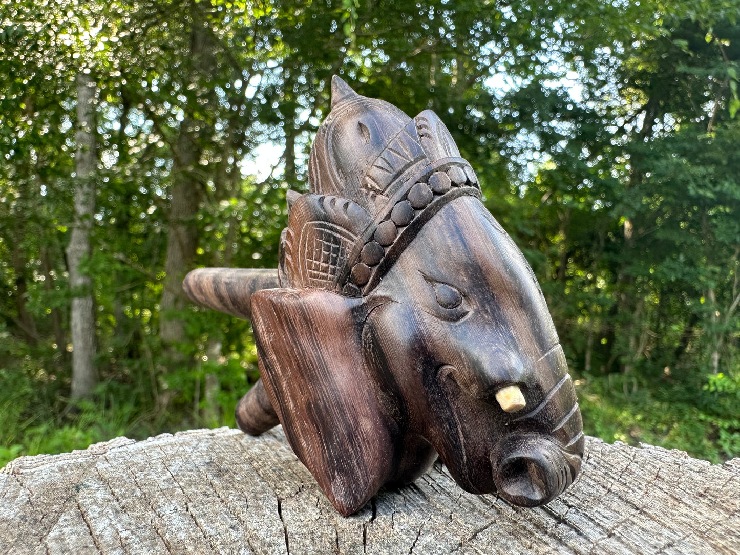 Master Ganesha Kuripe