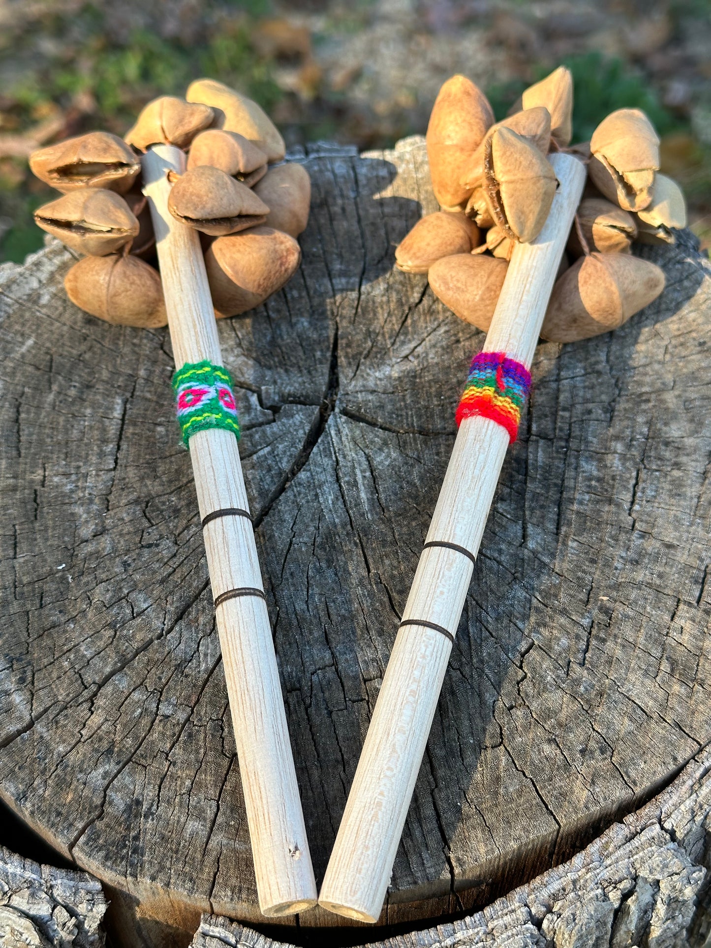 Colombian Kenari Seed Shaker