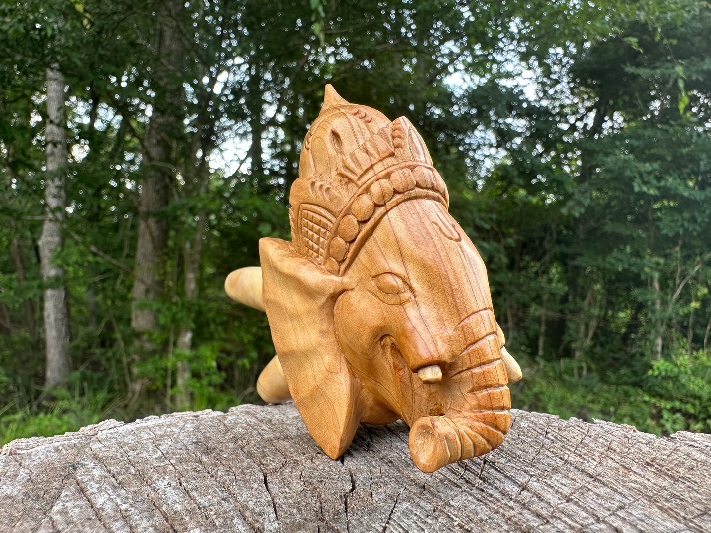 Master Ganesha Kuripe
